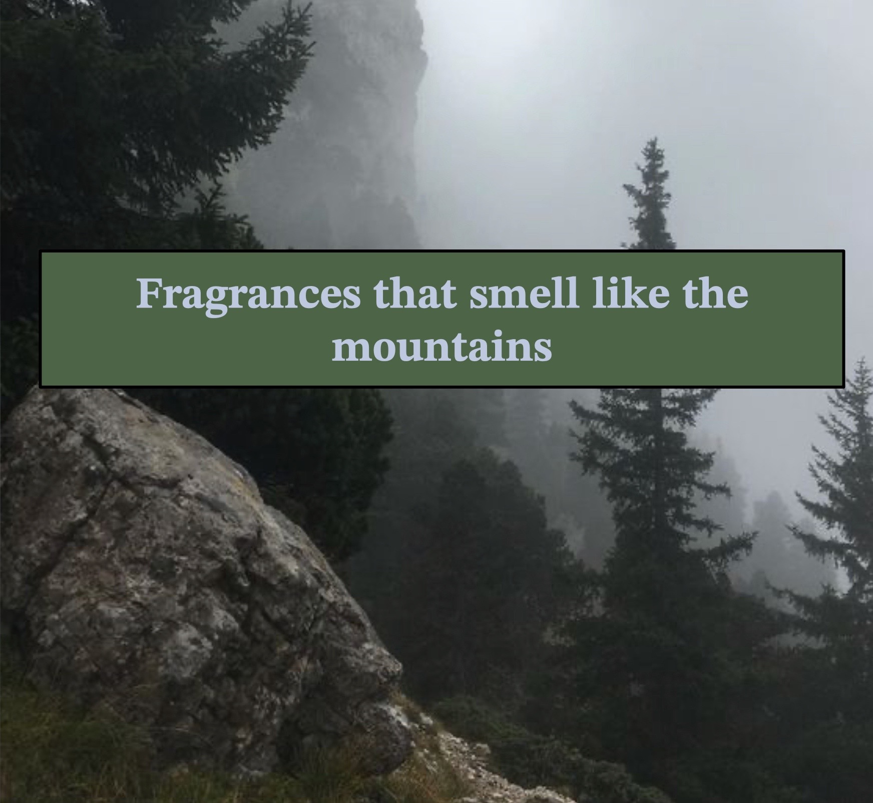 @gardenfragrances