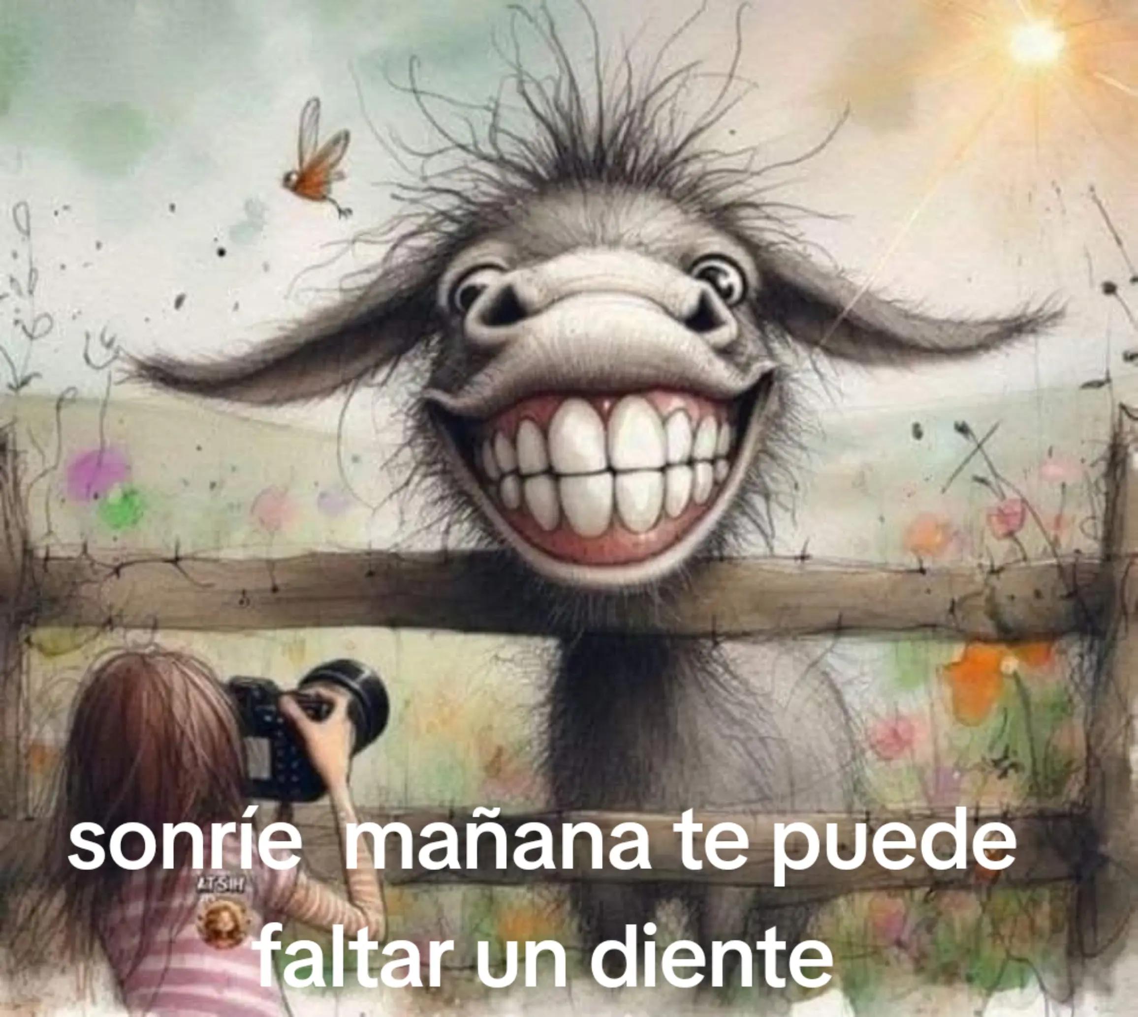 @ANJELICA@