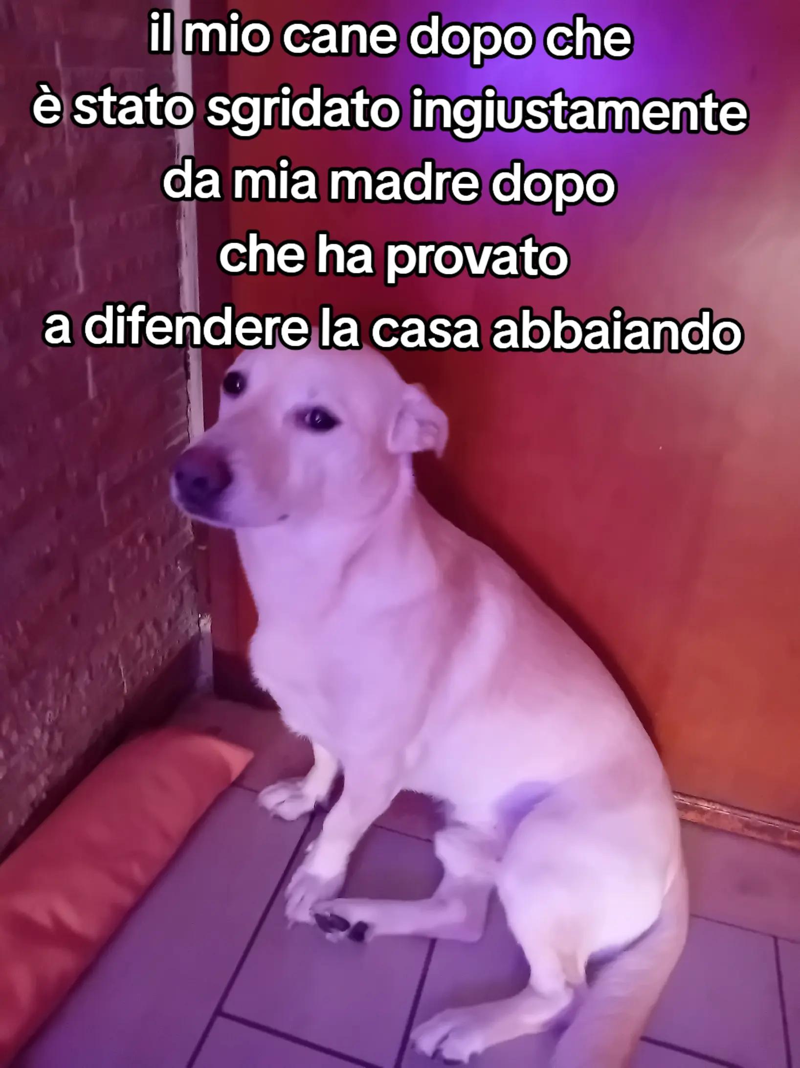 @calcio_edit06