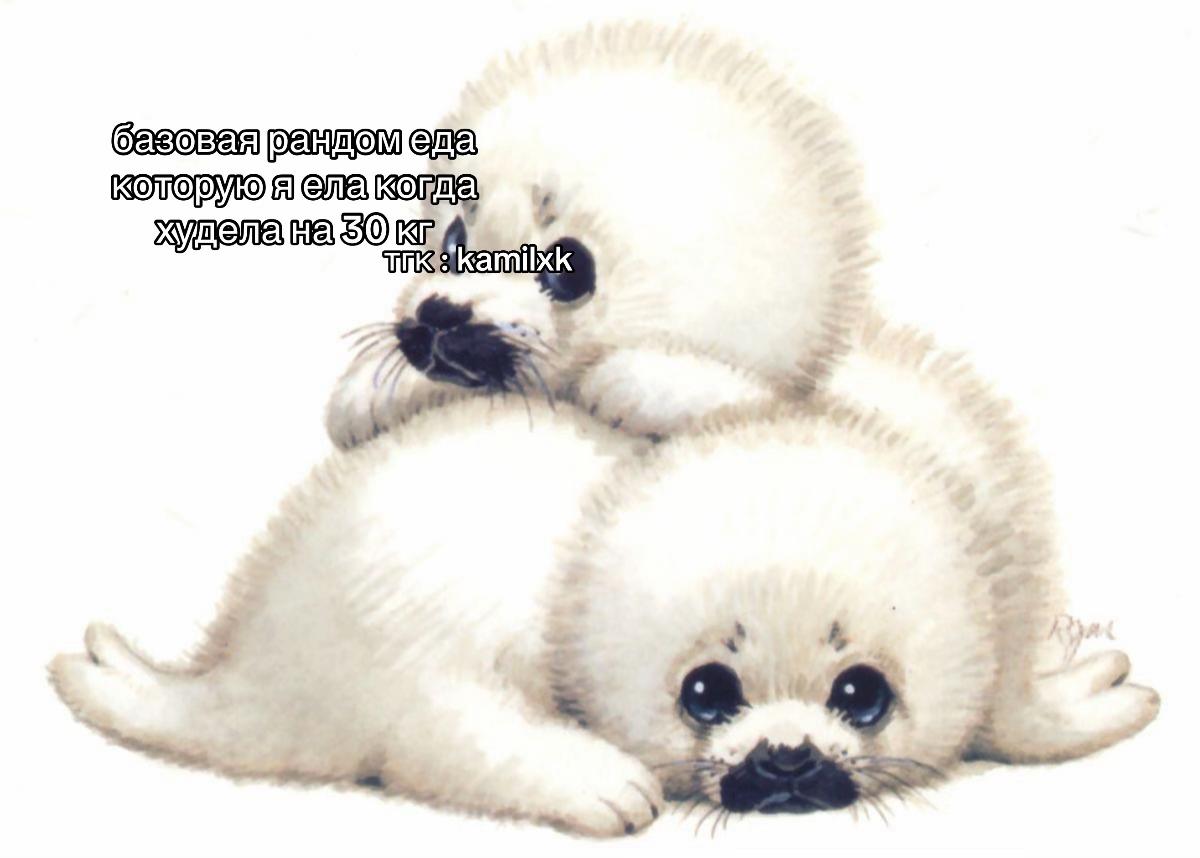 @ками