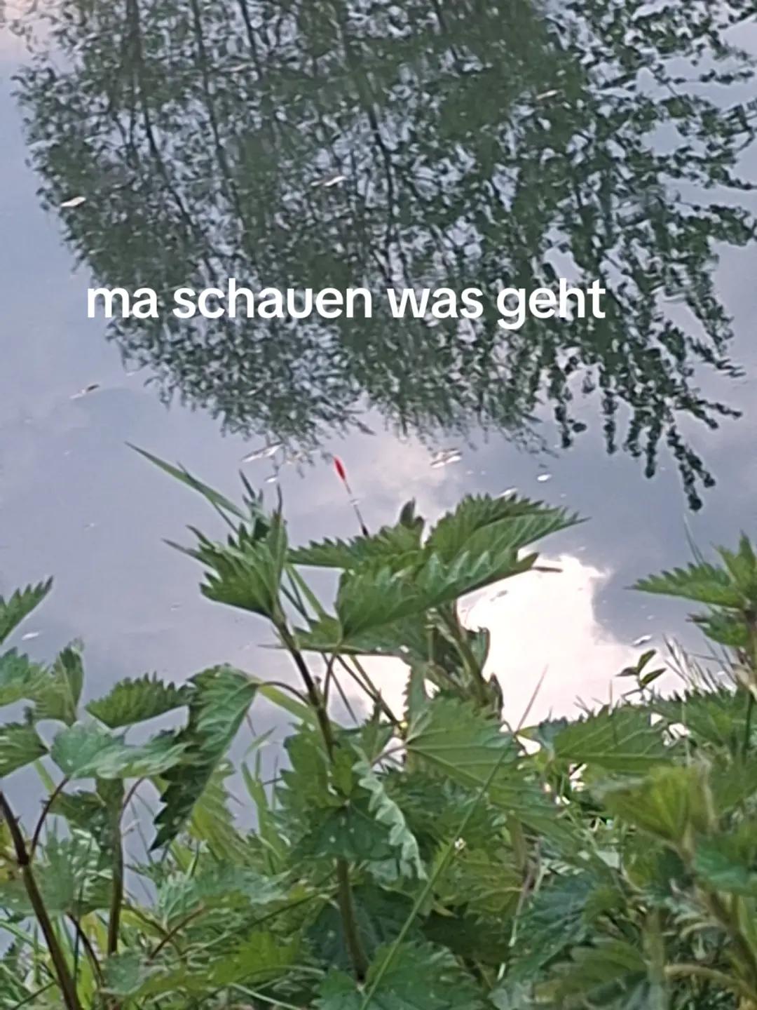 @Sauerl&auml;nder Angler [Leon]