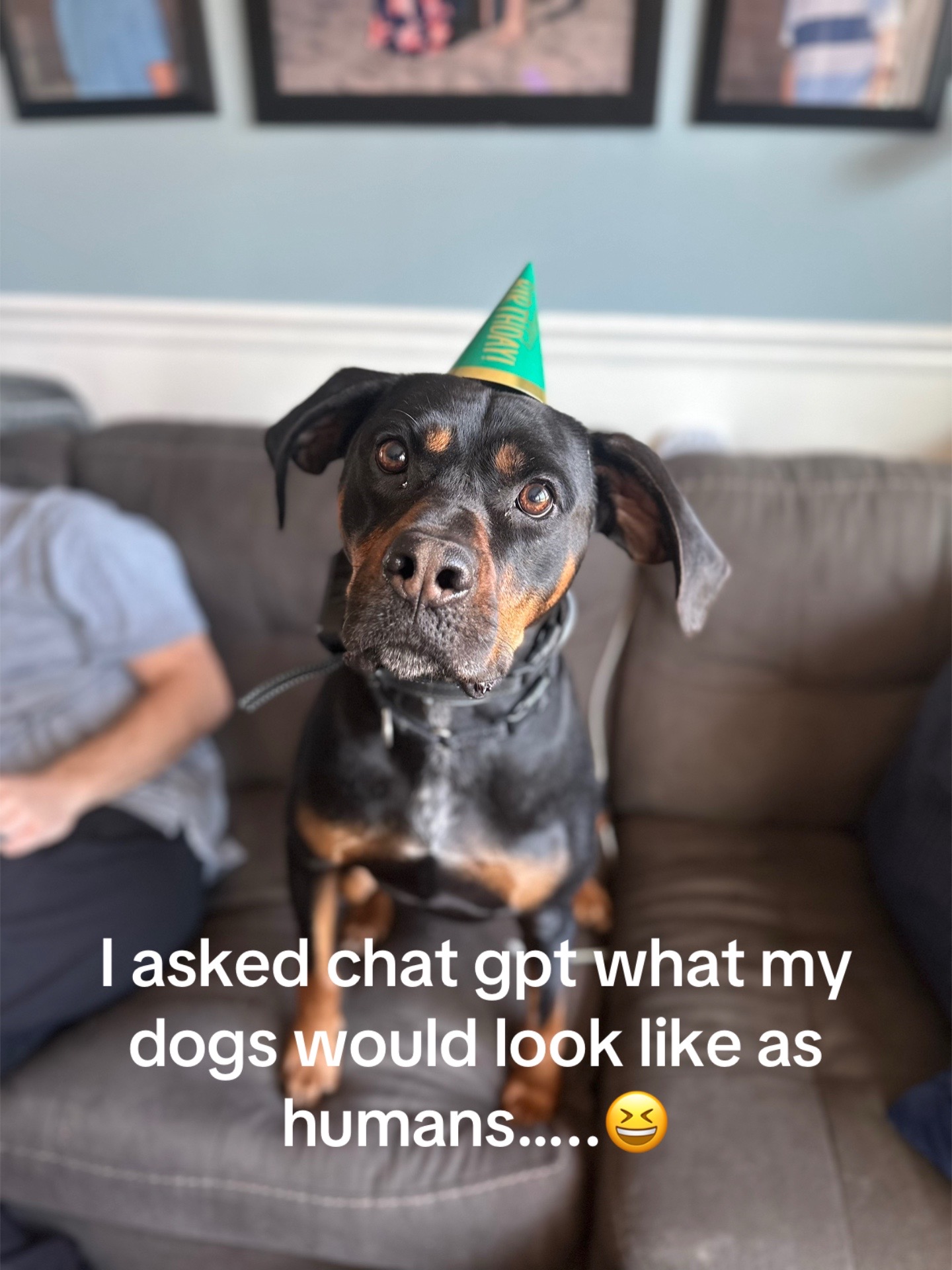 @Kobe and Remi the rescues