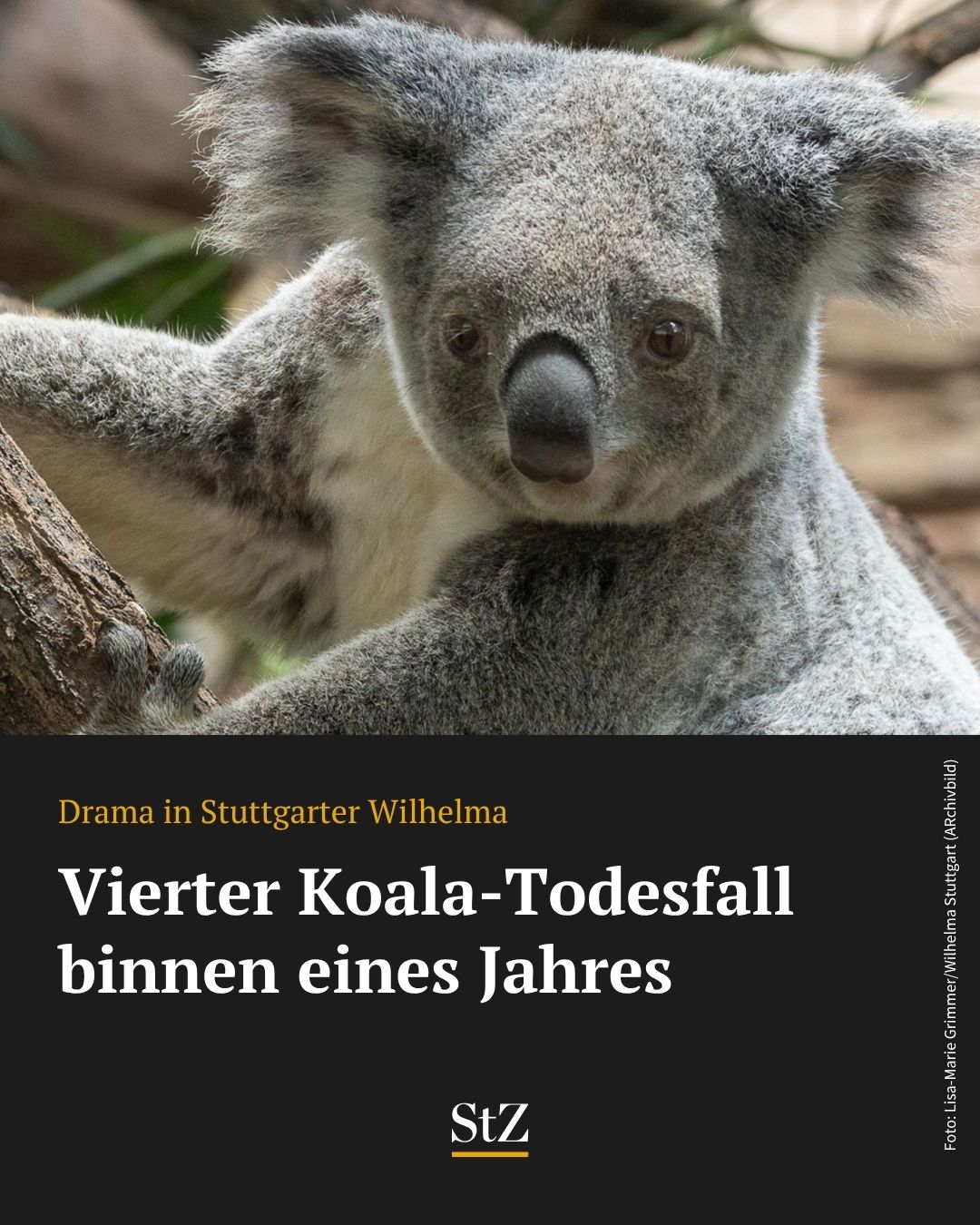 @StZ