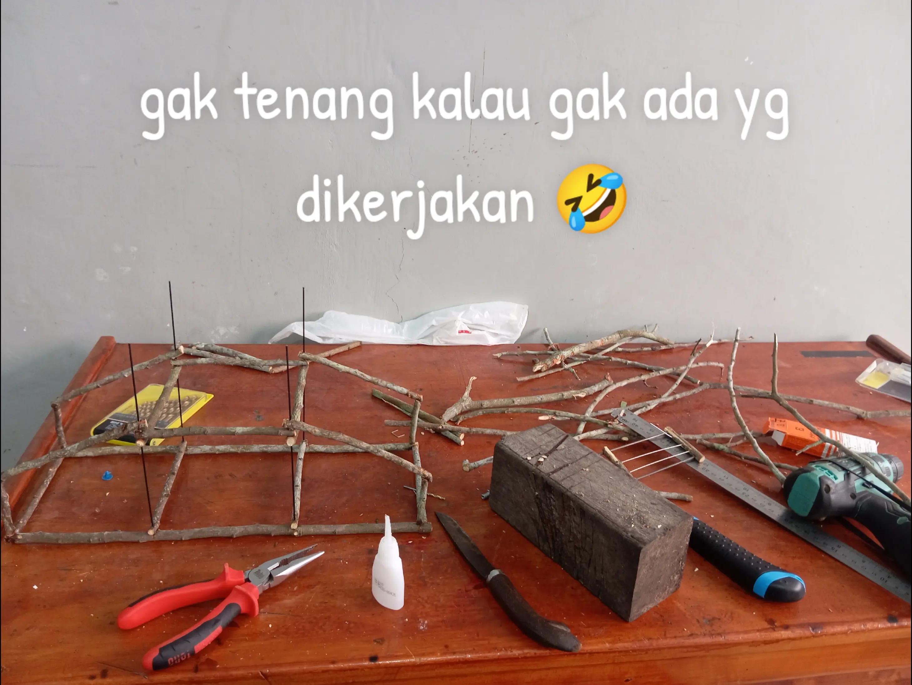 @Srindit kaltara 🦜