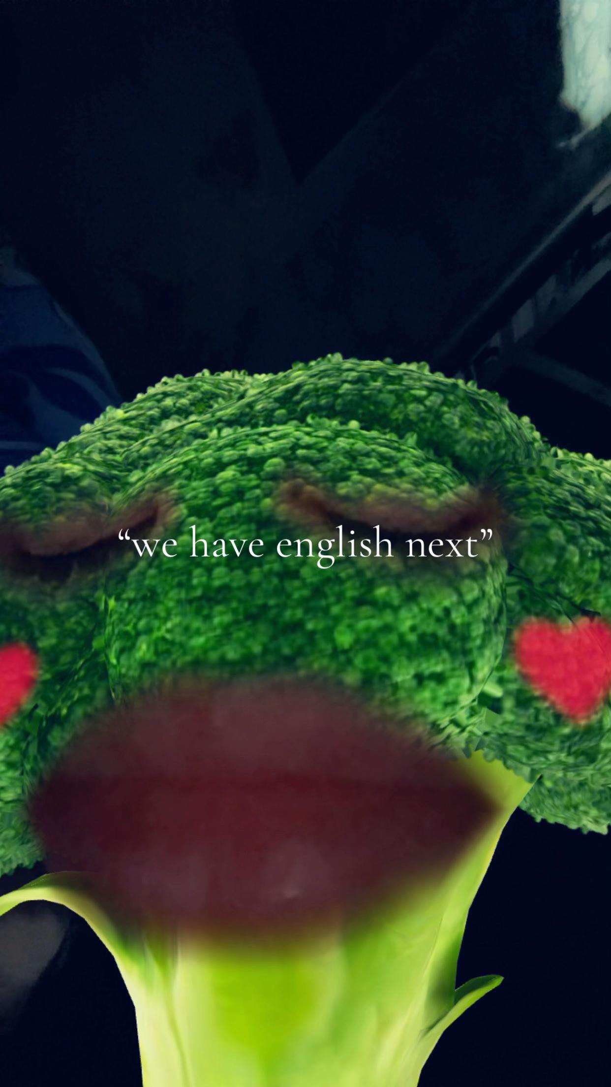 @๐ฏ๐ฉถ