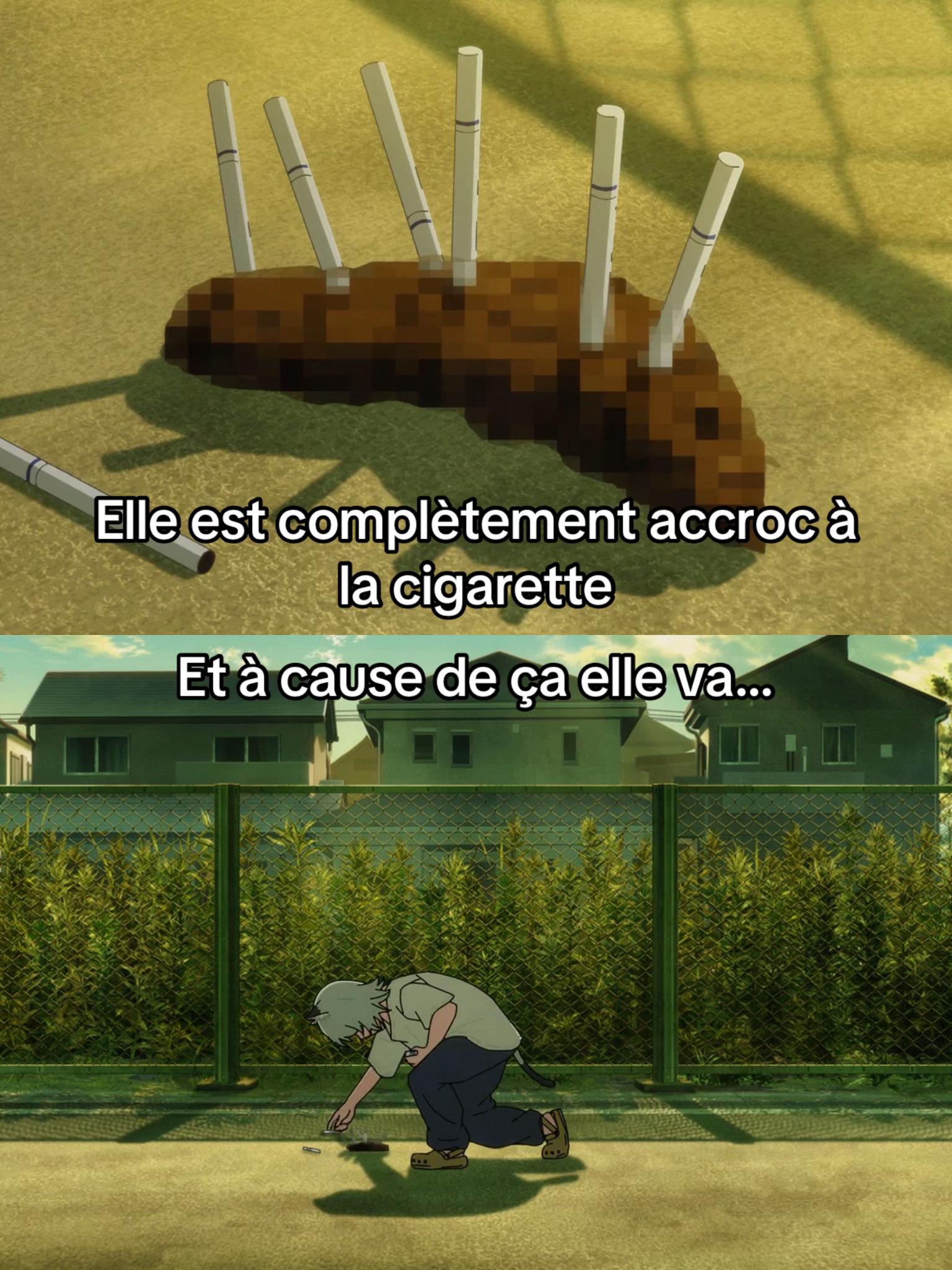 @Animecrew