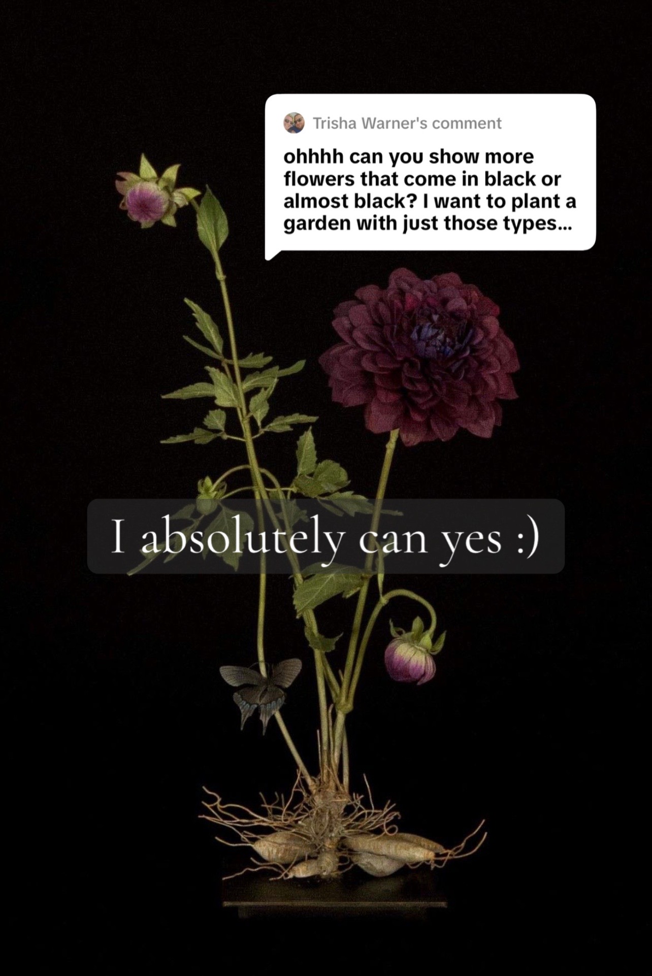 @𝔰𝔞𝔳