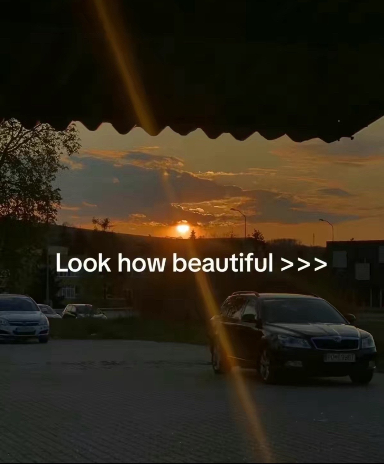 @🥀𝙿𝚊𝚒𝚗 𝙷𝚞𝚋🥀