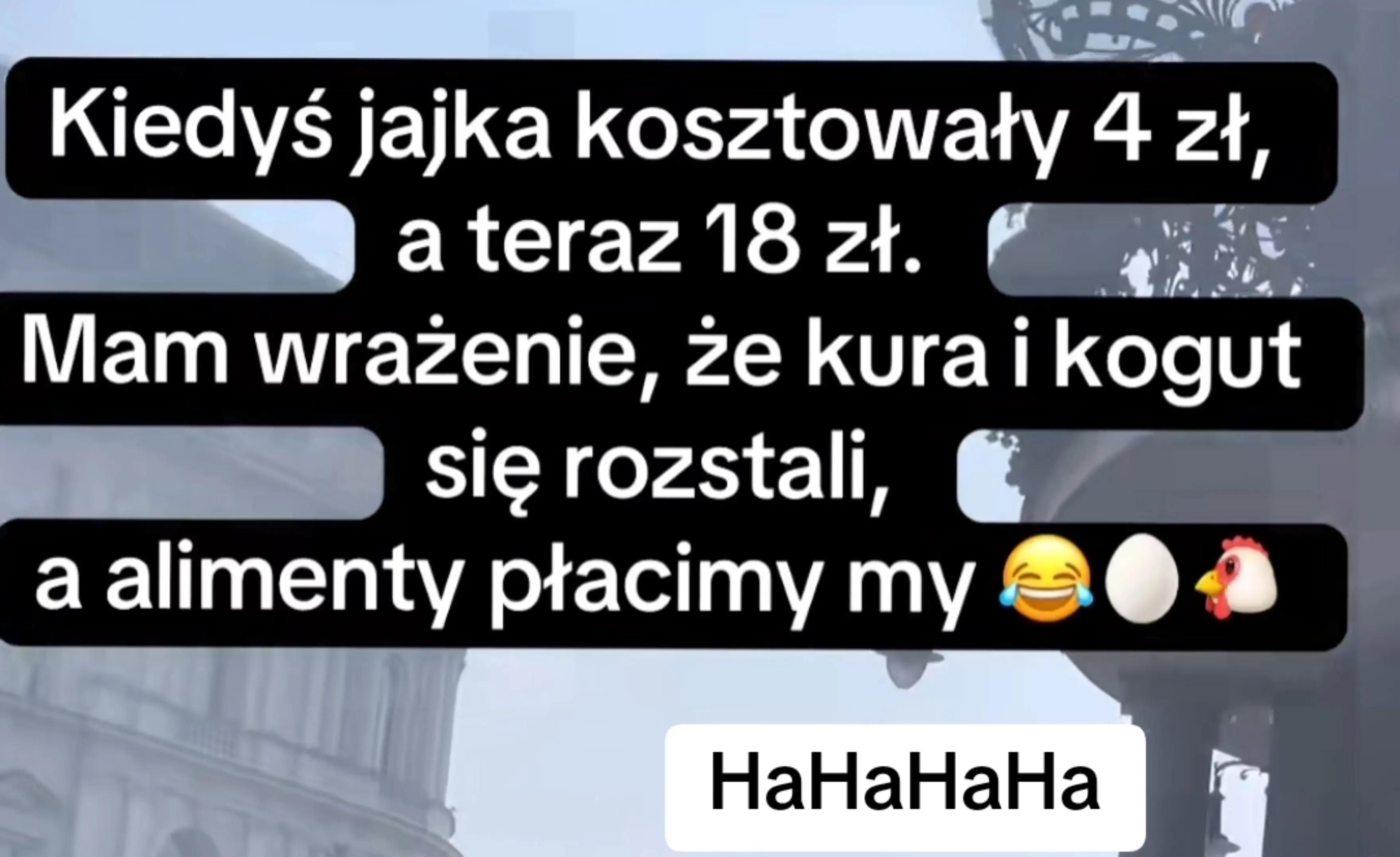@Iwona Lewandowska