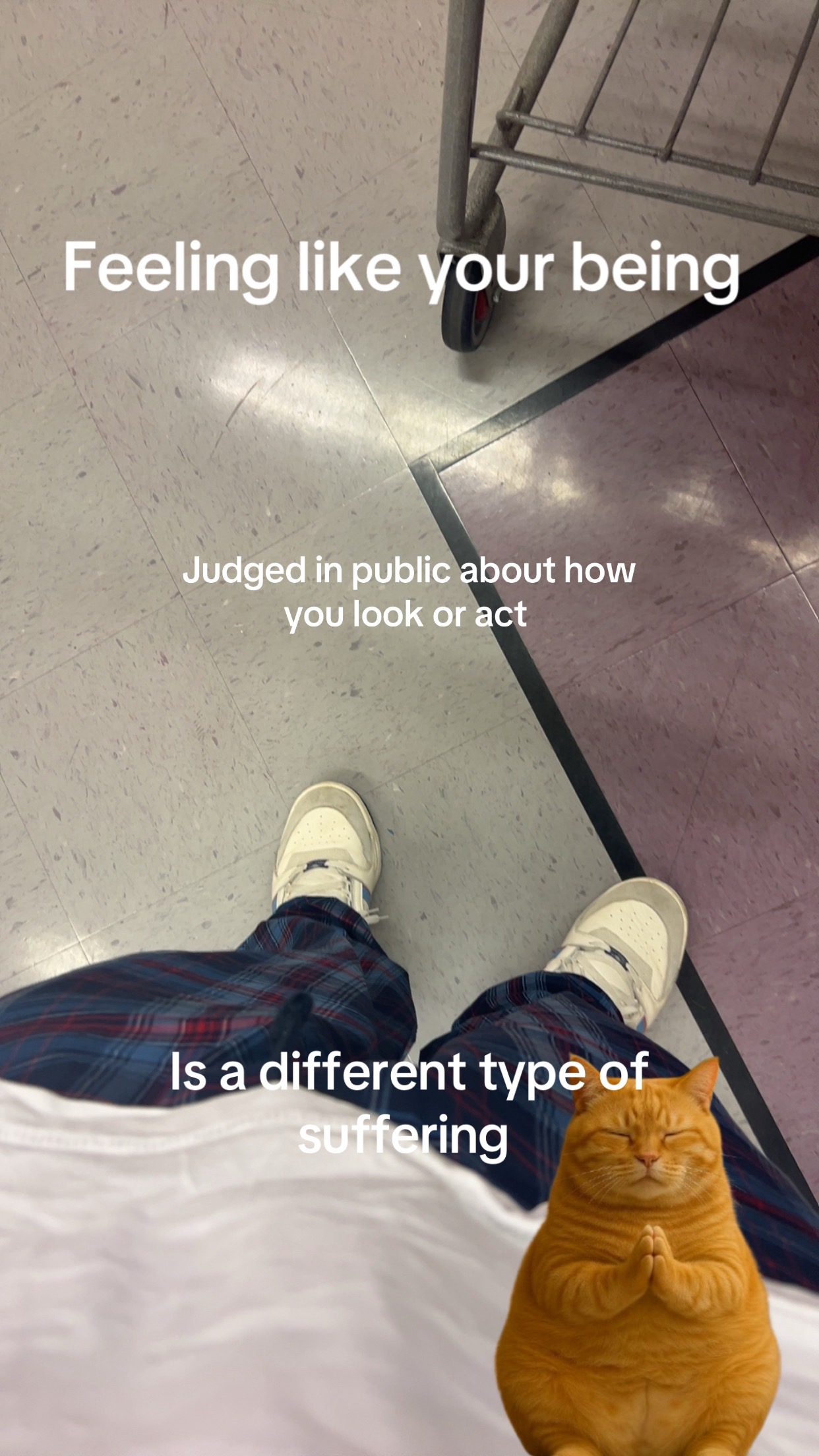 @bapbip7