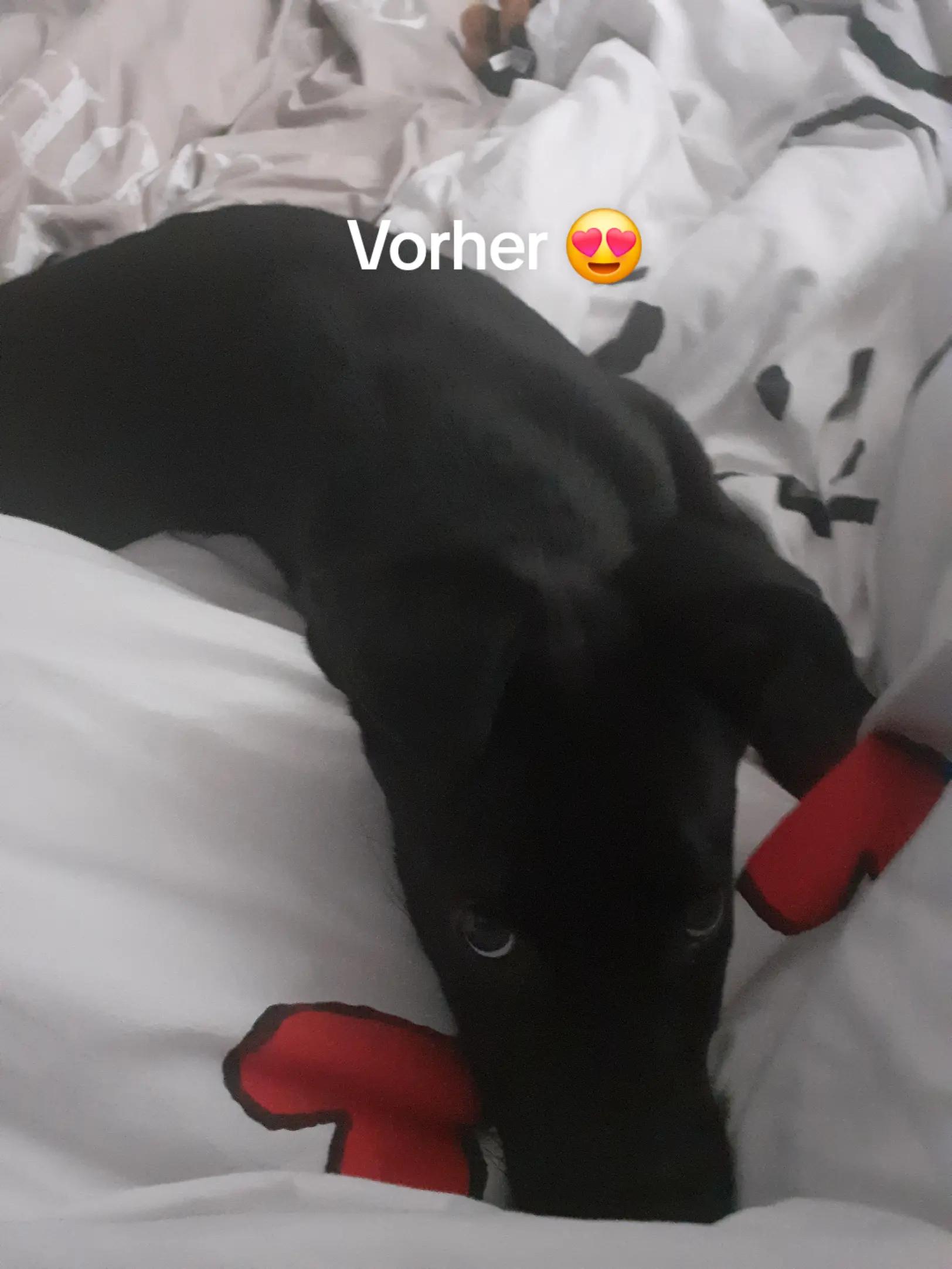 @Kleine Lily