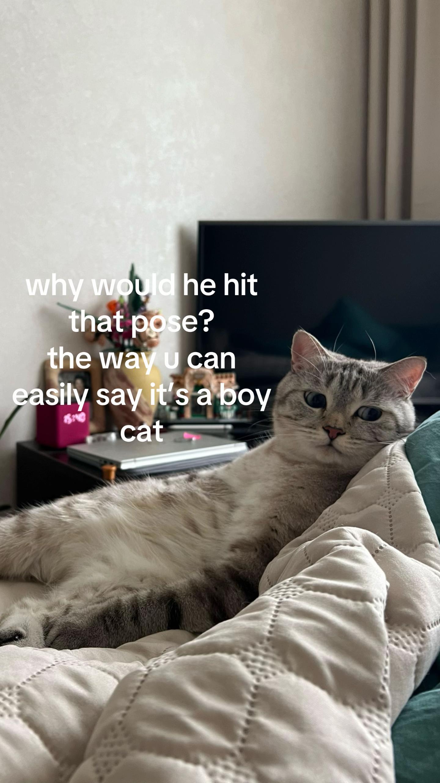 @niiaman