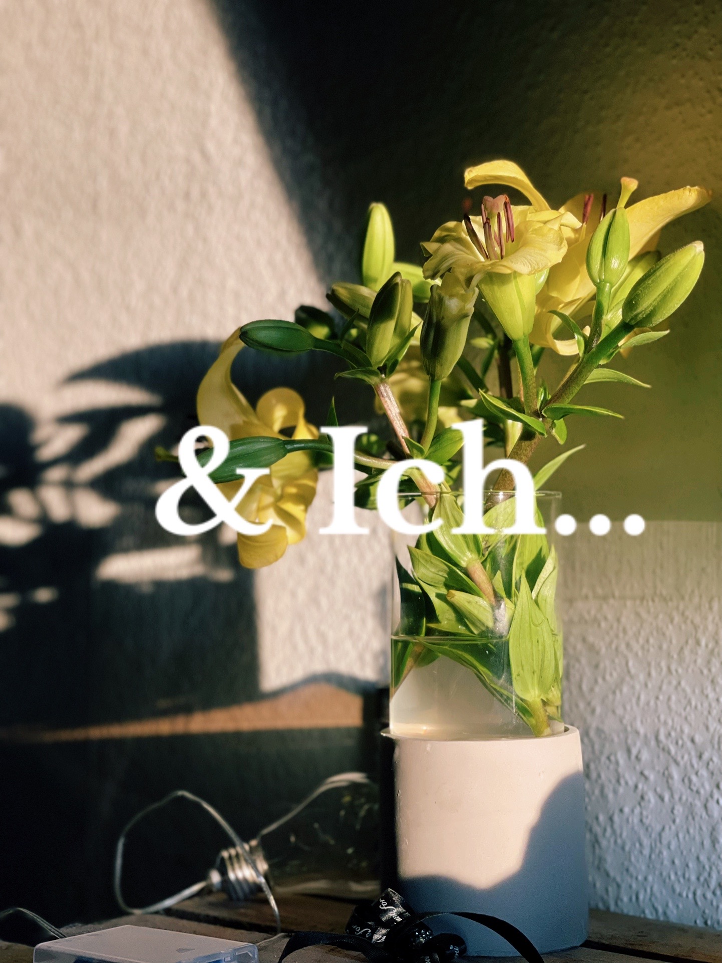 @E l l a . ๐ป