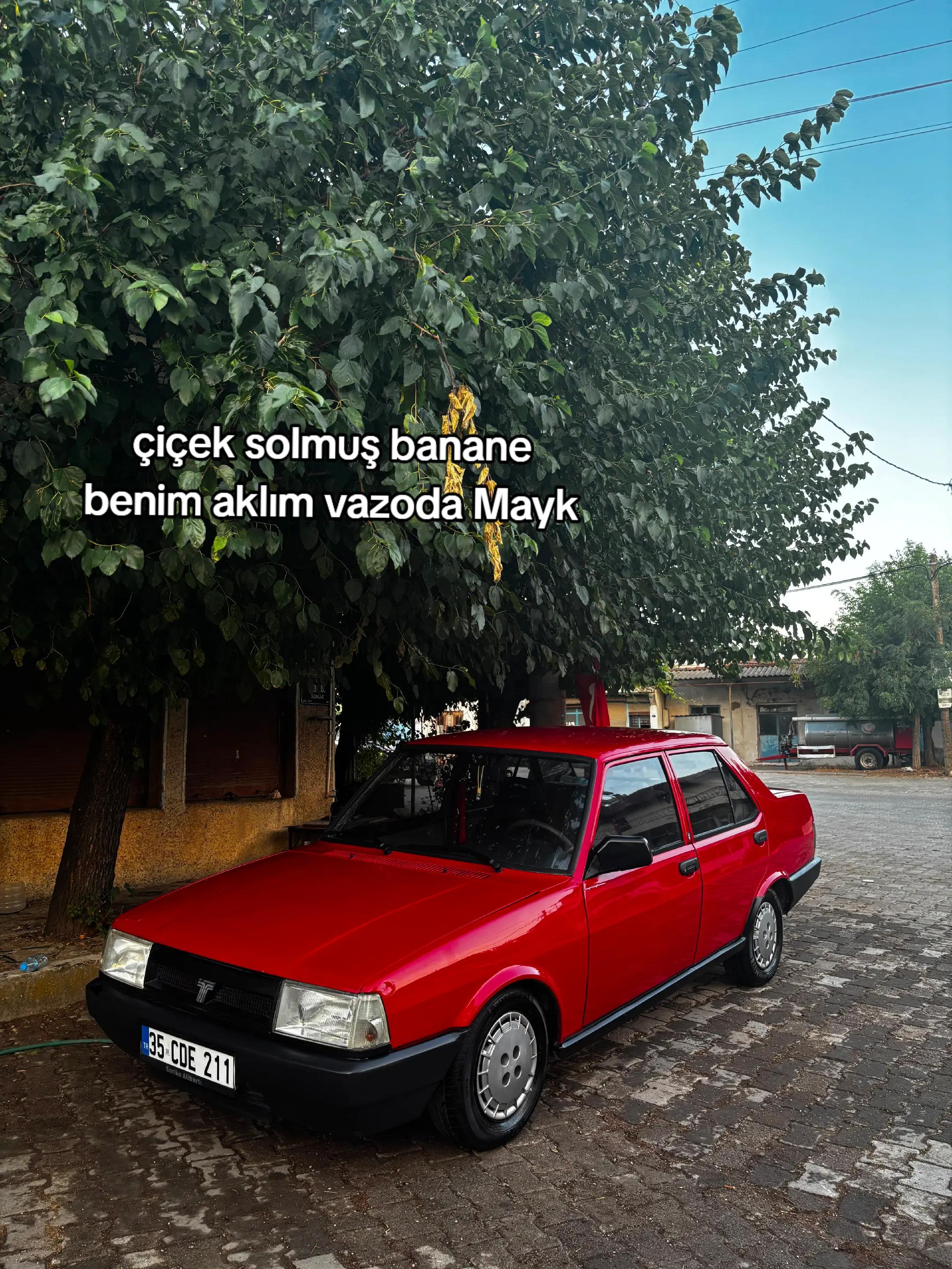 @Semih Süslü