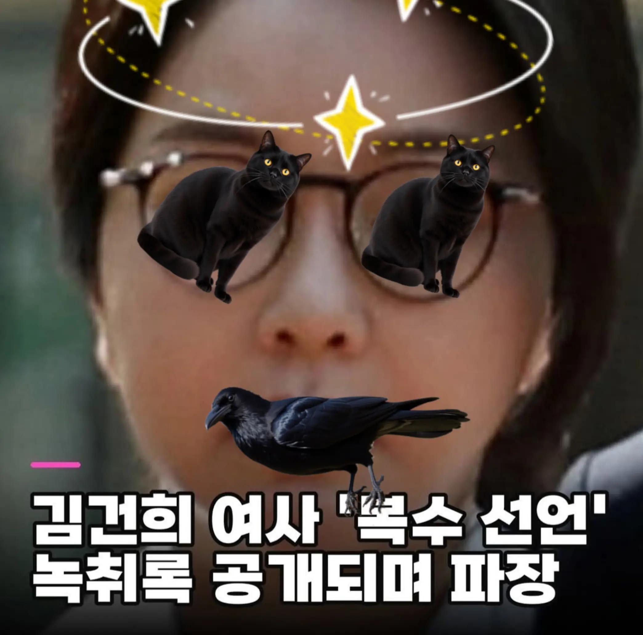 @🌺시라소니[본]🌺