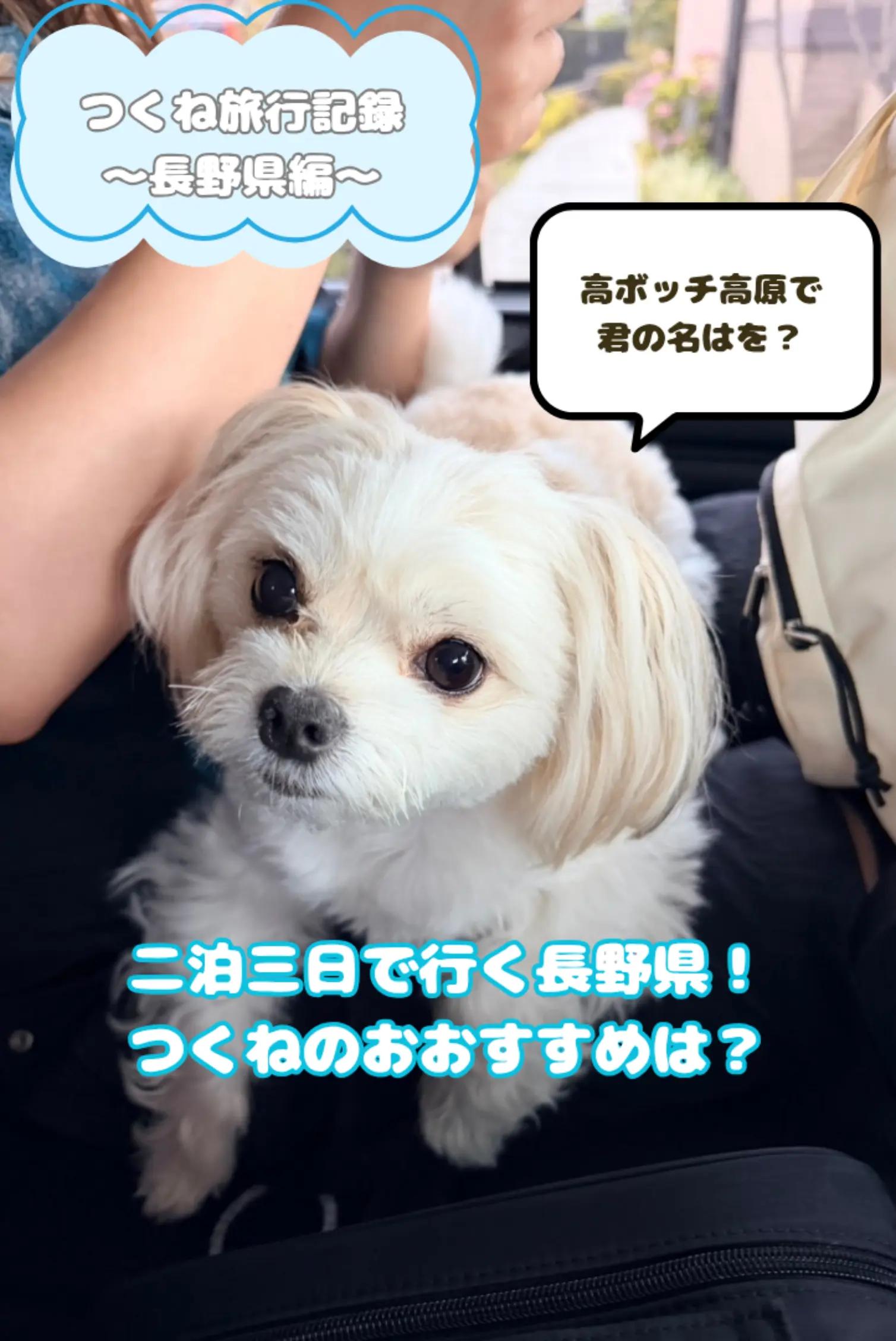 @つくねくん