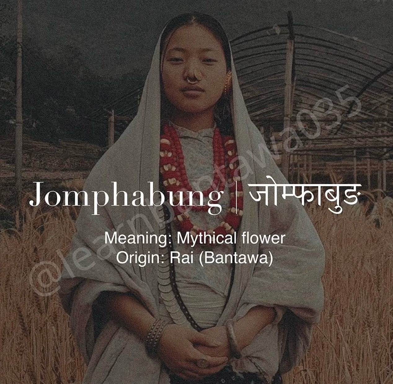 @KhambuRaiRaini