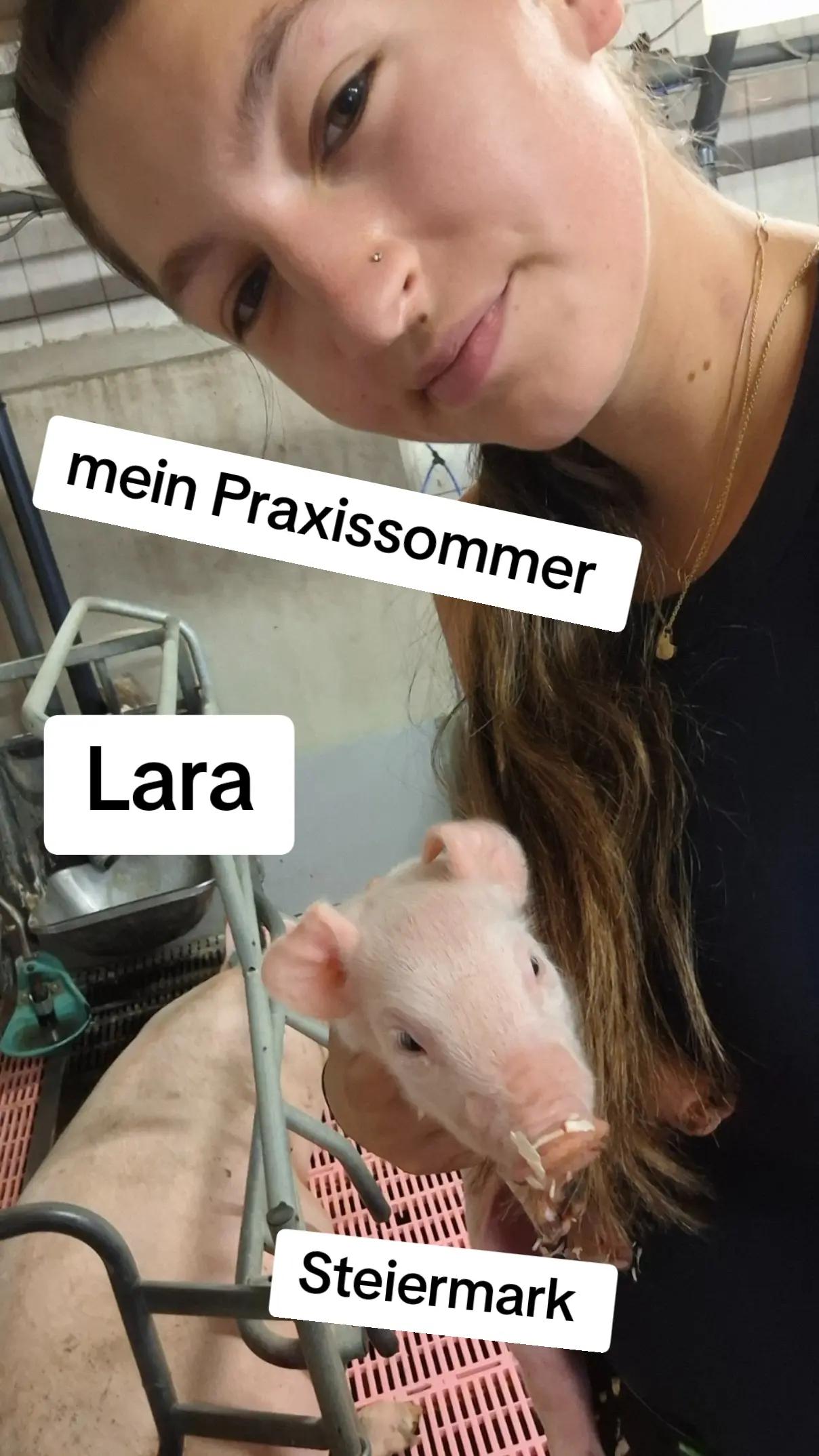 @LFS Hatzendorf
