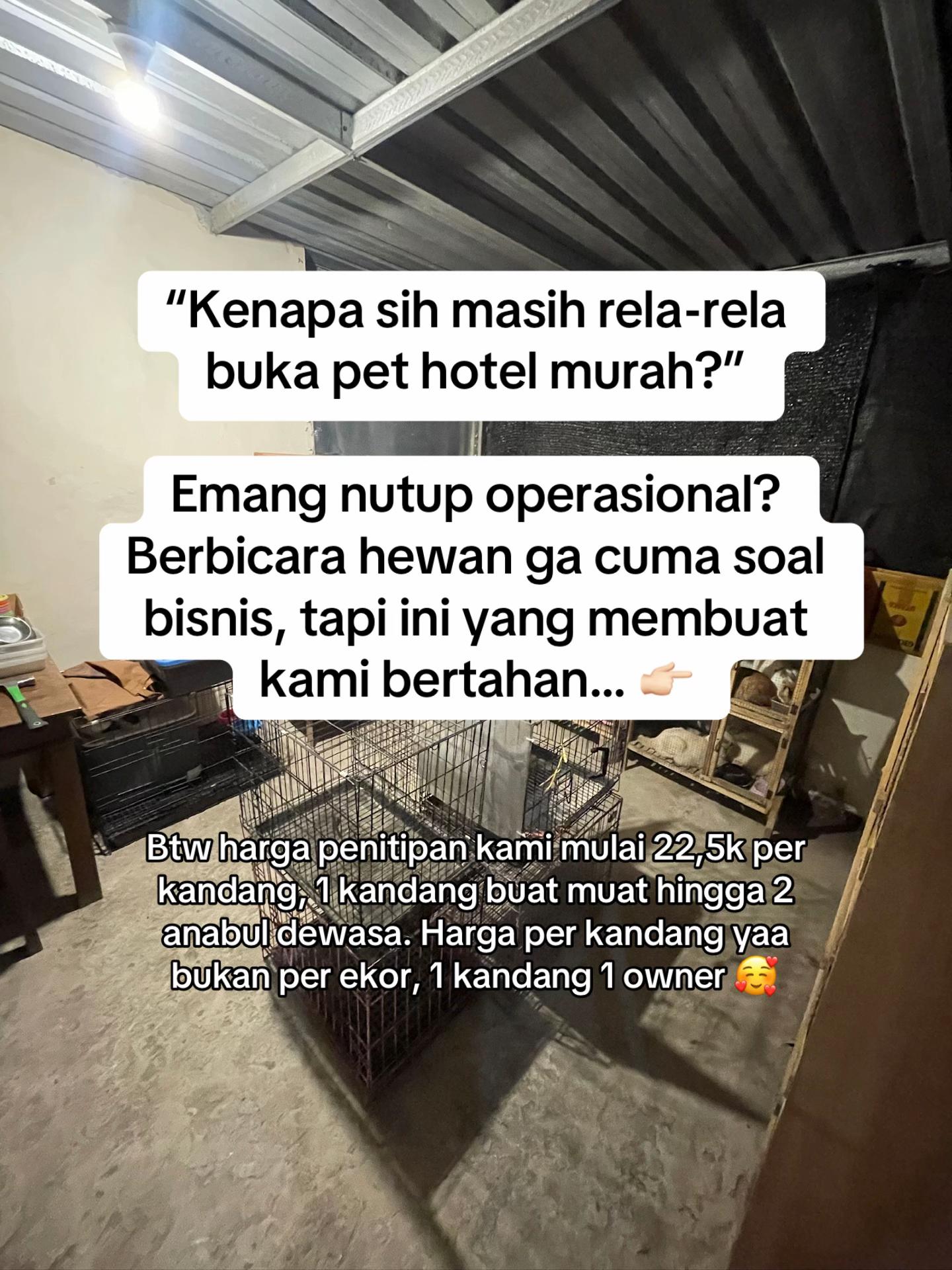 @biskuit&cimul