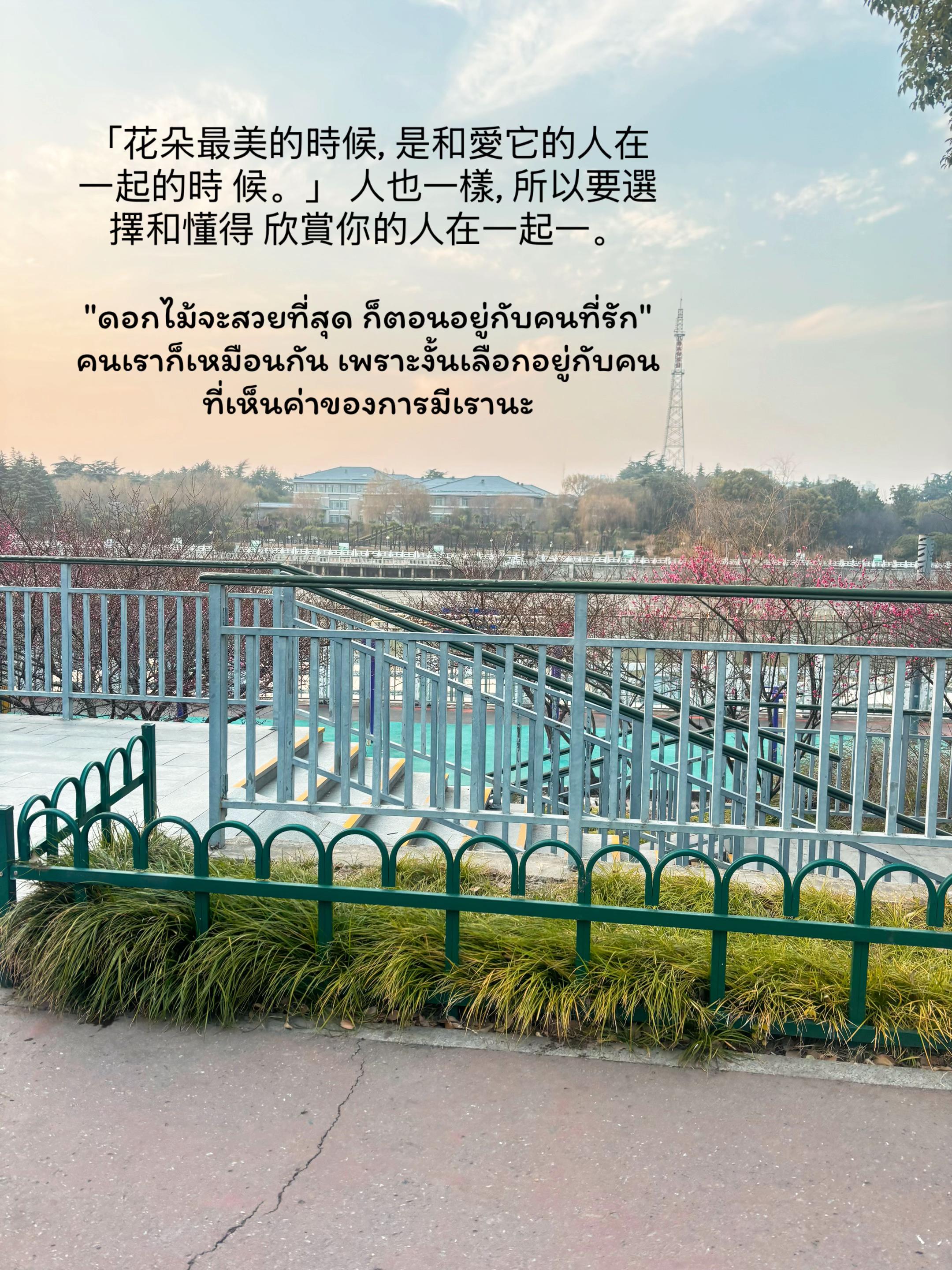 @จีนซับไทย 🇨🇳🇹🇭 ✨