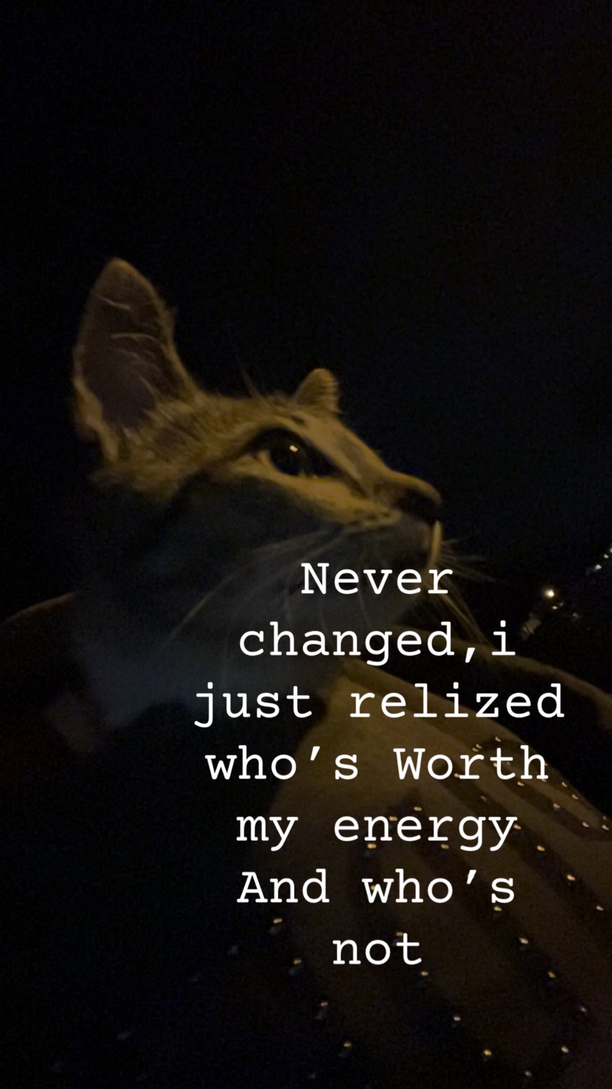 @ɐɯɯǝ🙃