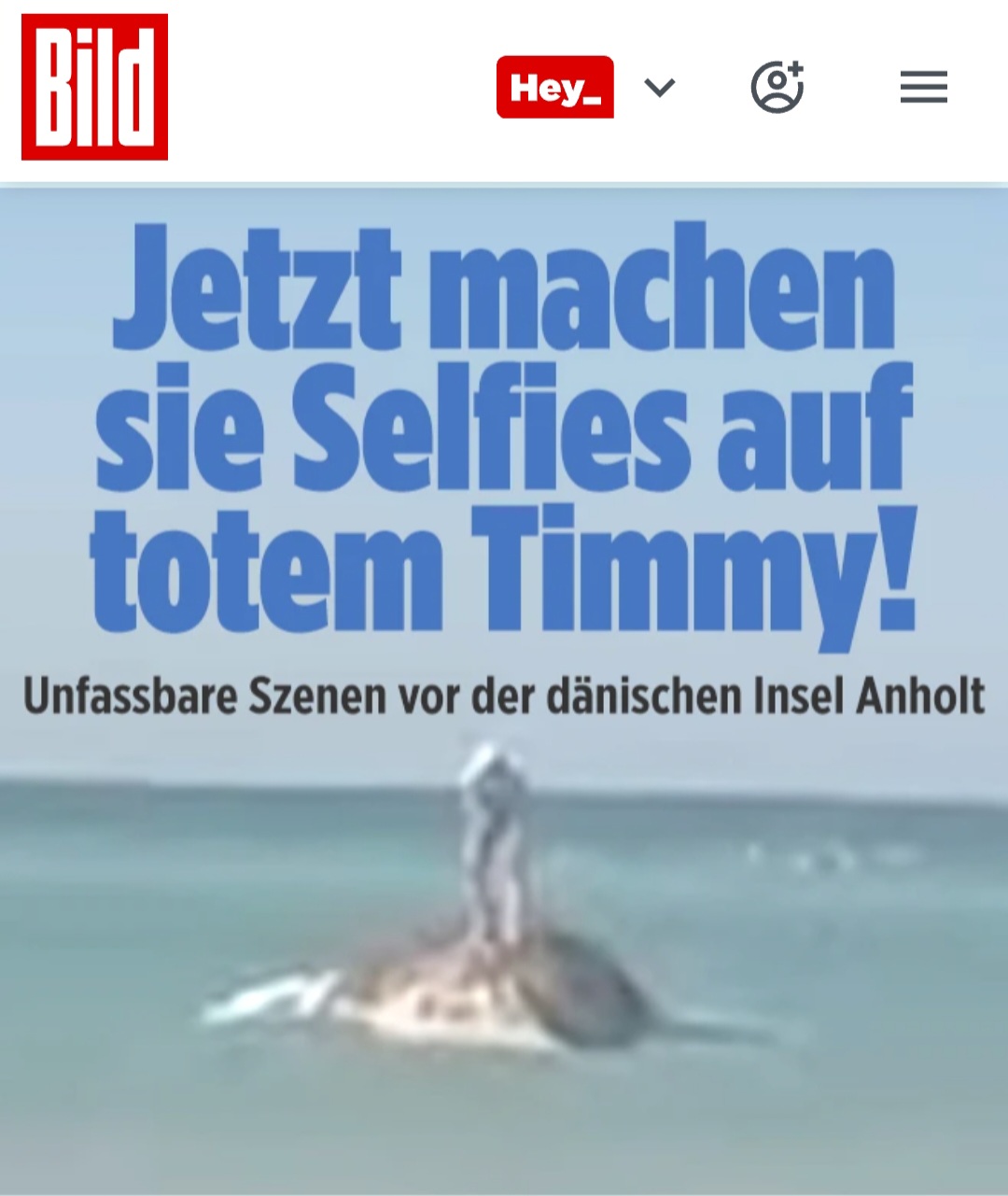 @der_kinderschutzaktivist