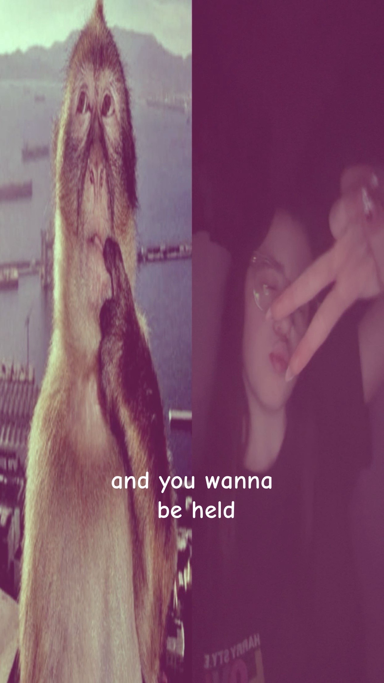 @✩°₊ ⋆❀⋆ ₊° ✩