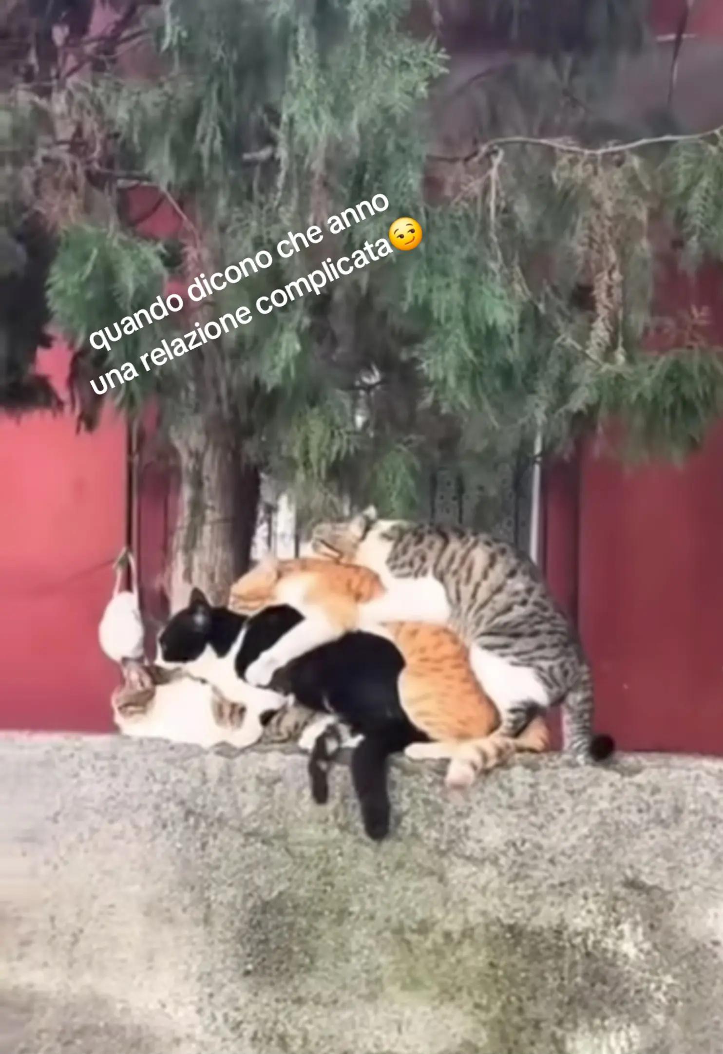 @Giovanni De Fazio
