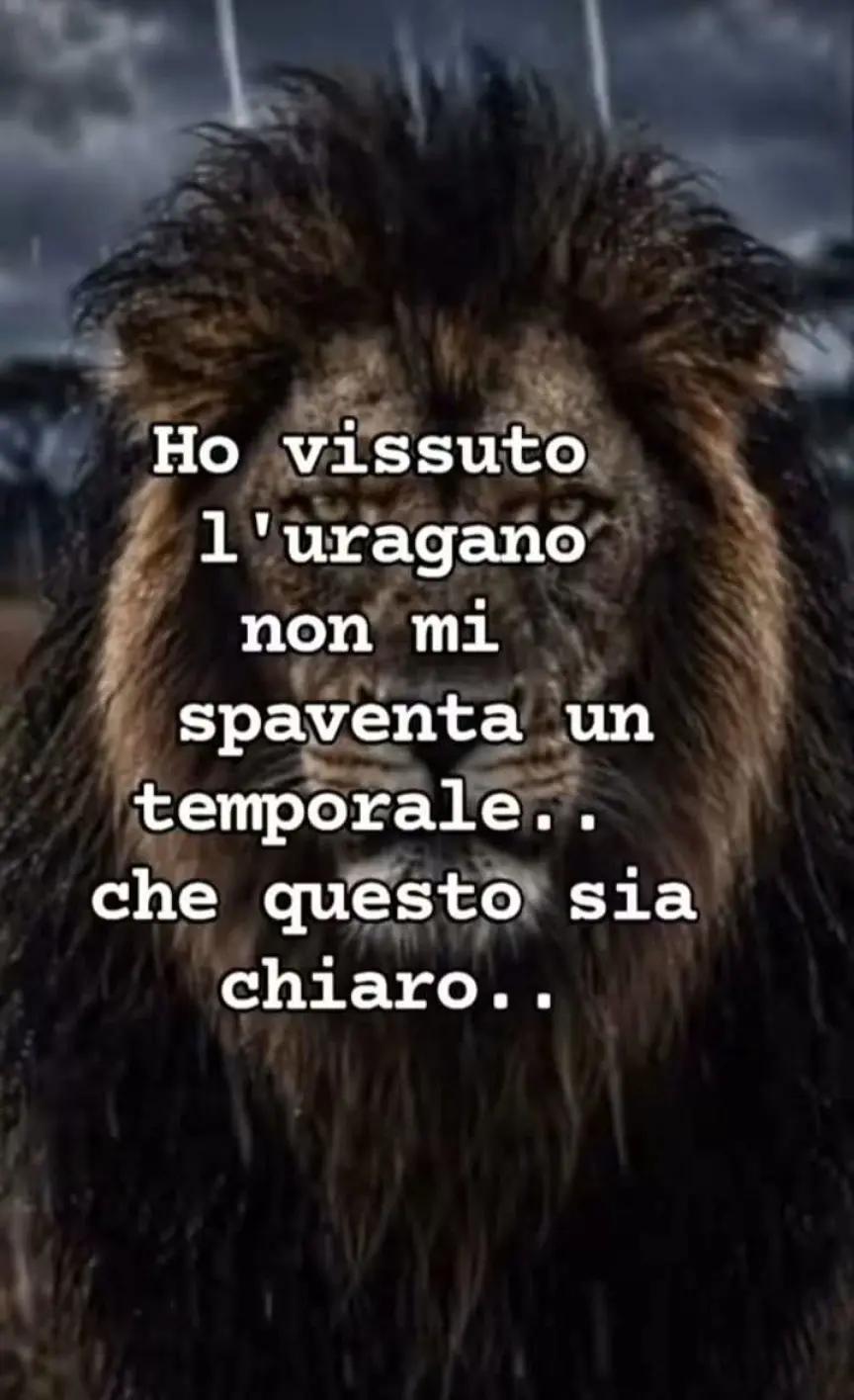 @Maria Liemonte