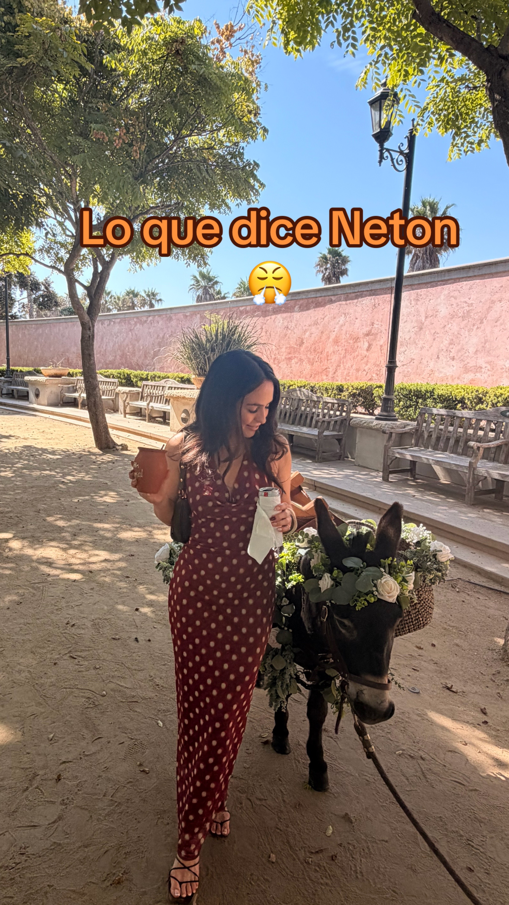 @mellegastelumr