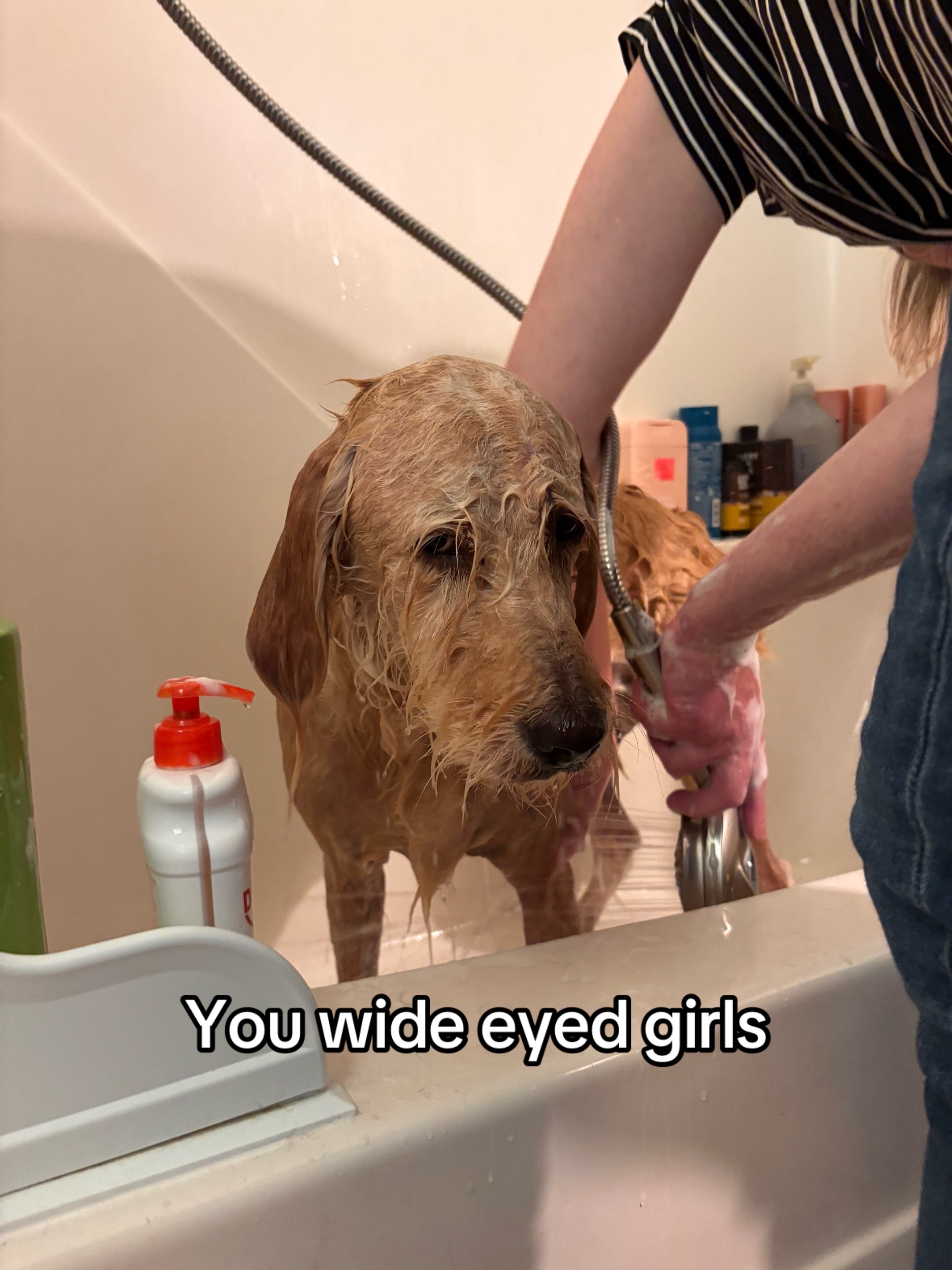 @Caster