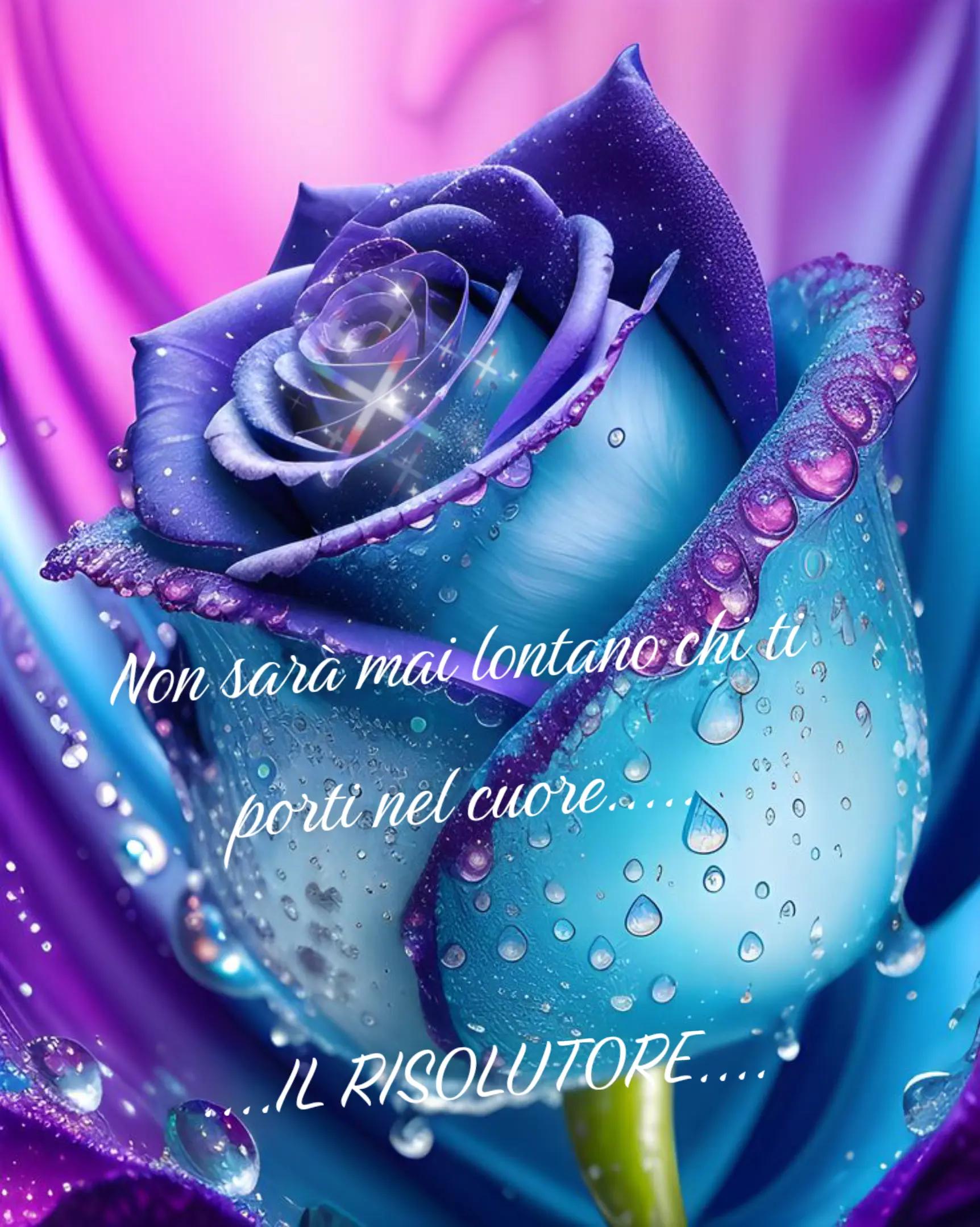 @IL RISOLUTORE...