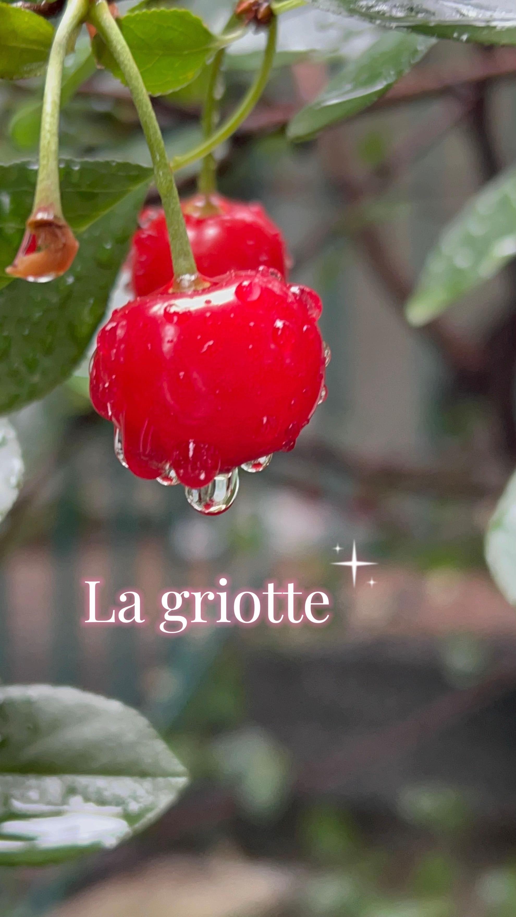 @Marie-Ève Lanoie
