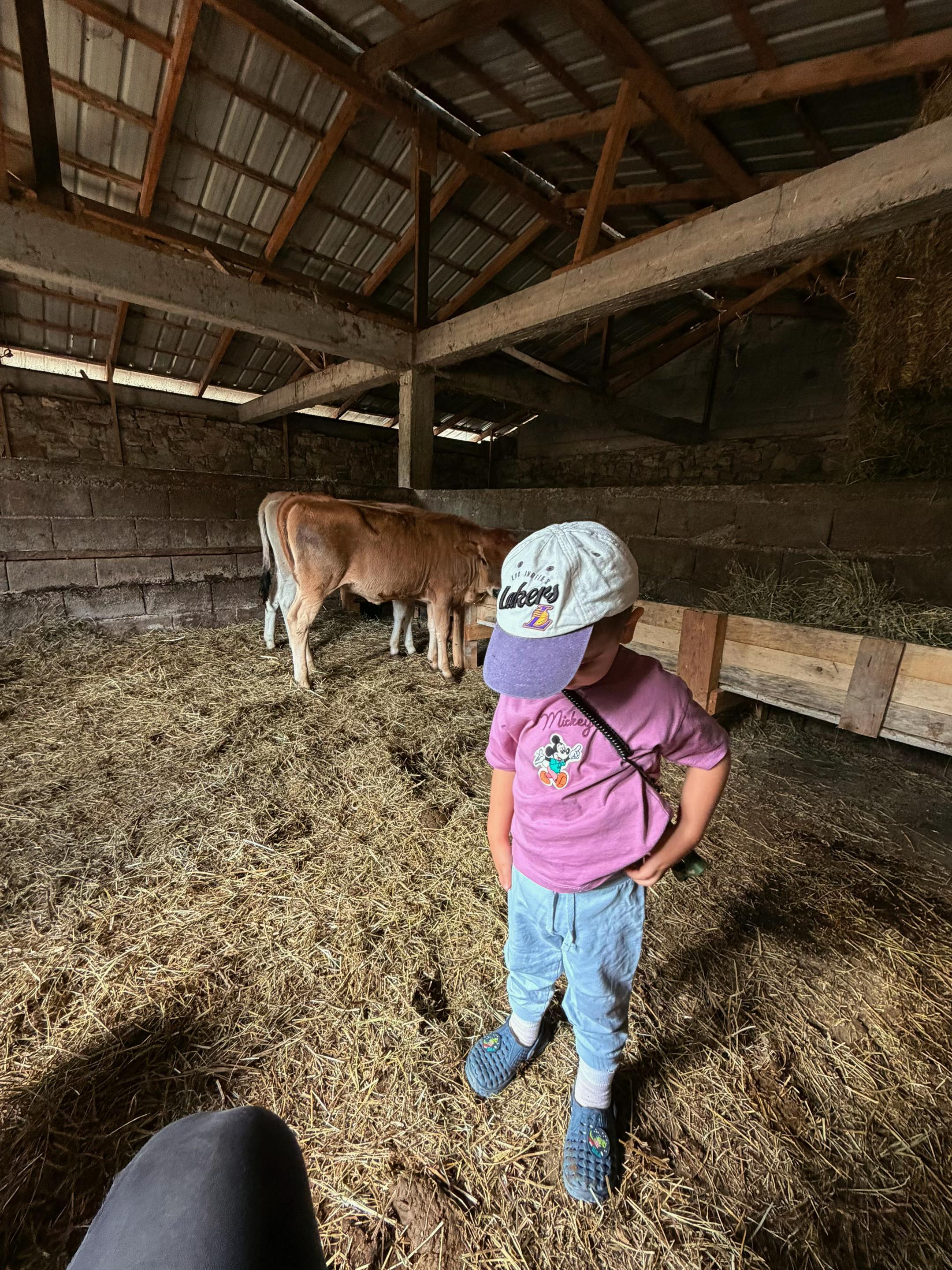 @GurishtaFarm