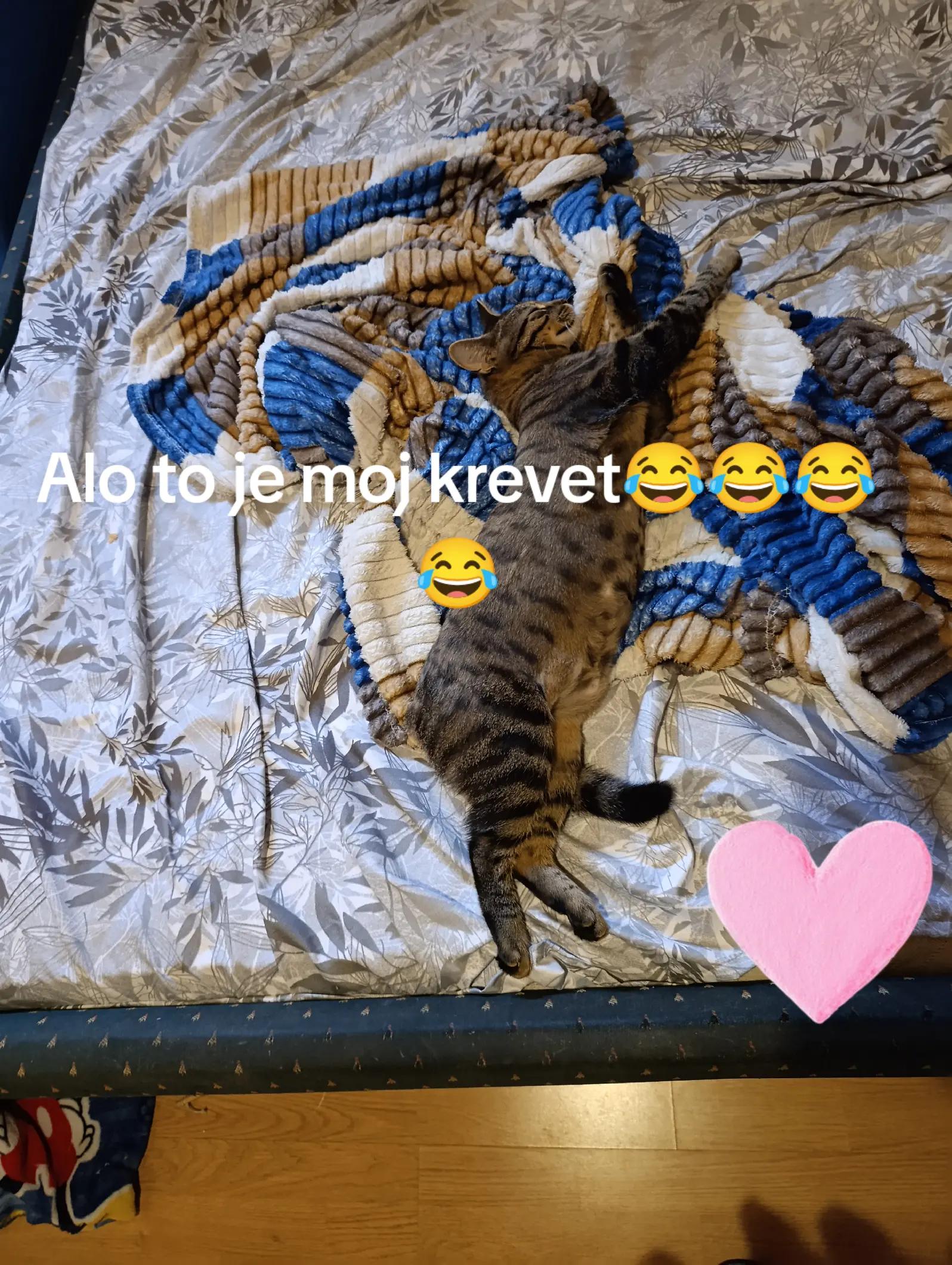 @MozakNaOdmoru