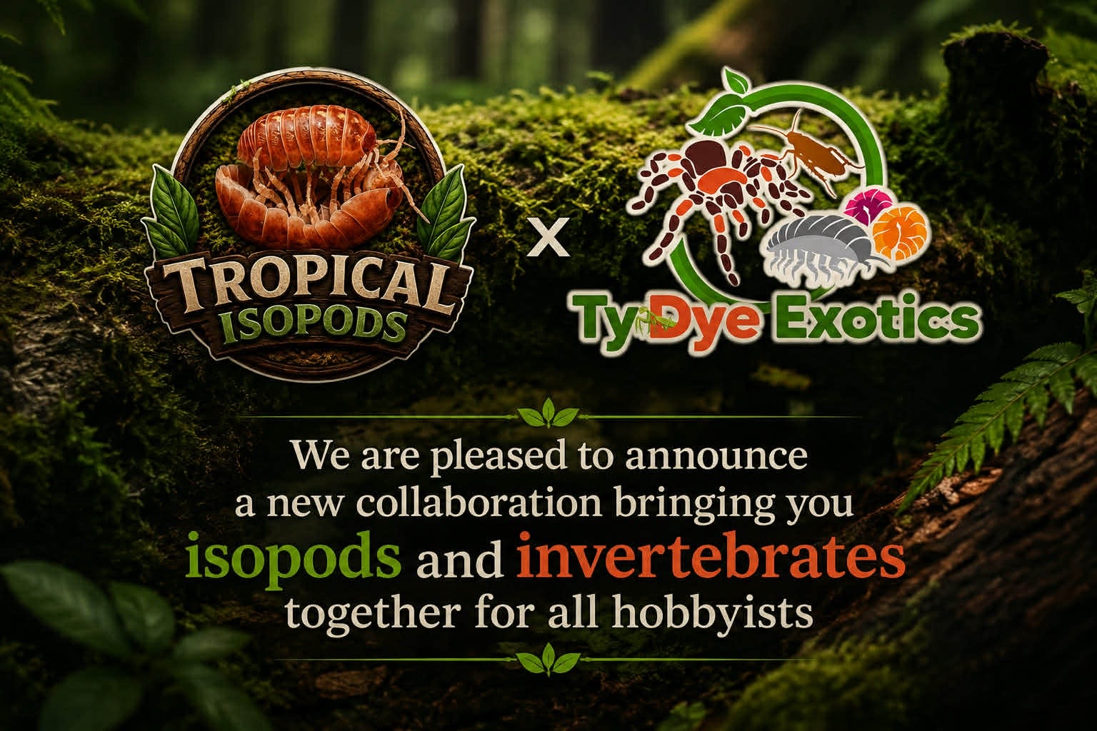 @tydyeexotics