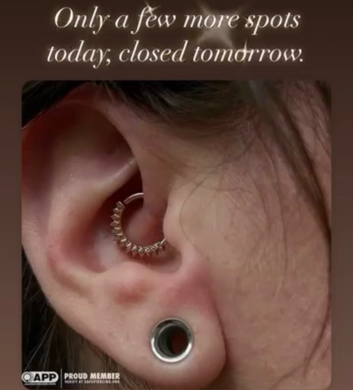 @Velvet Elvis Piercing