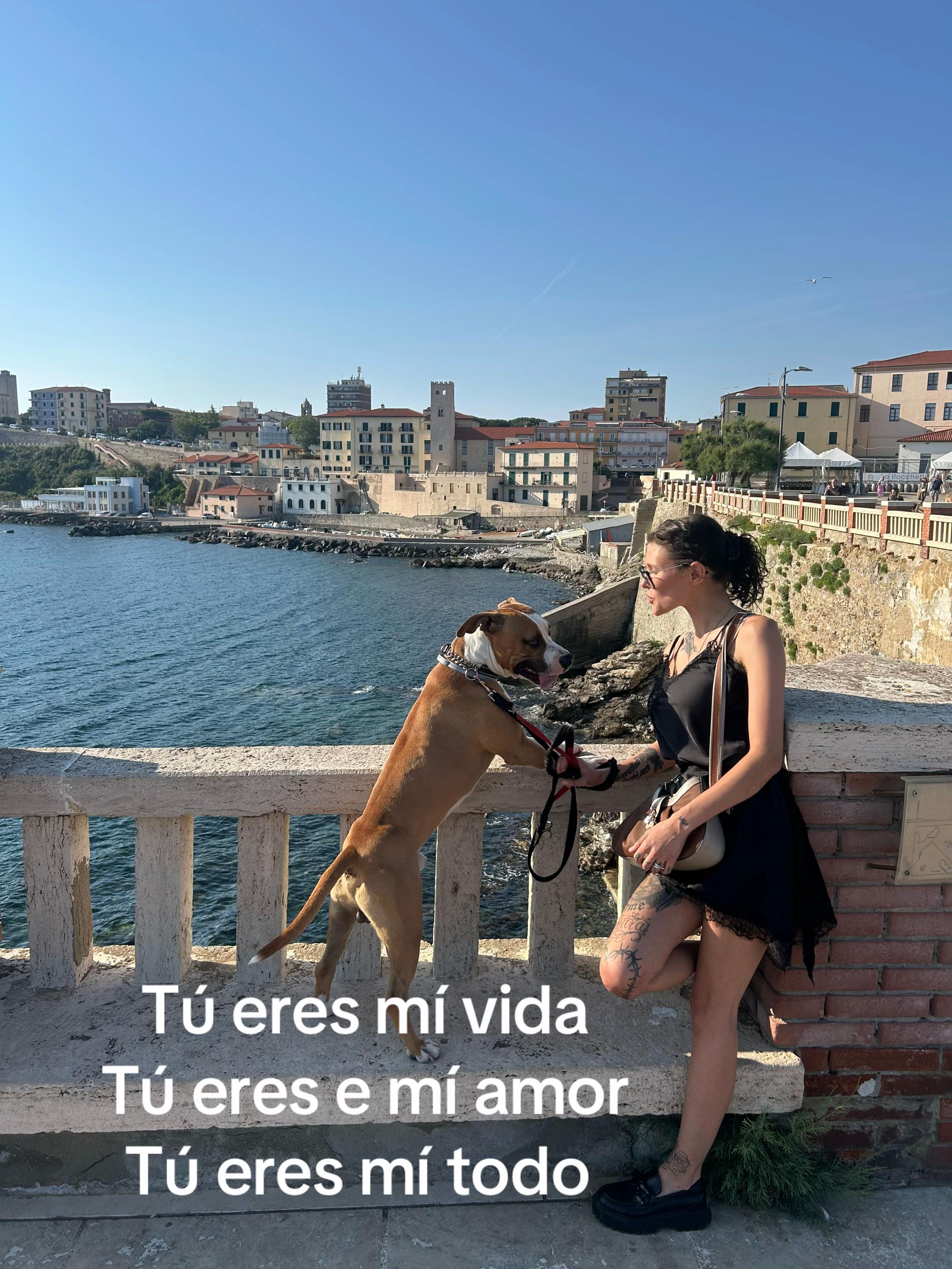 @viola🫧