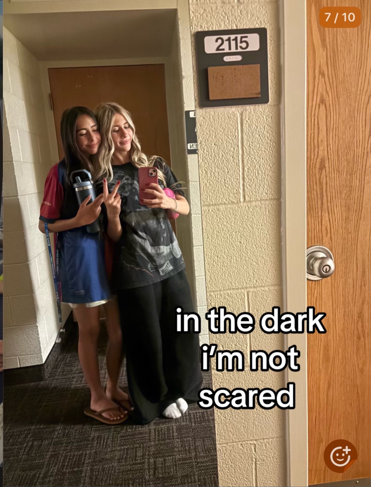 @aves&dardar