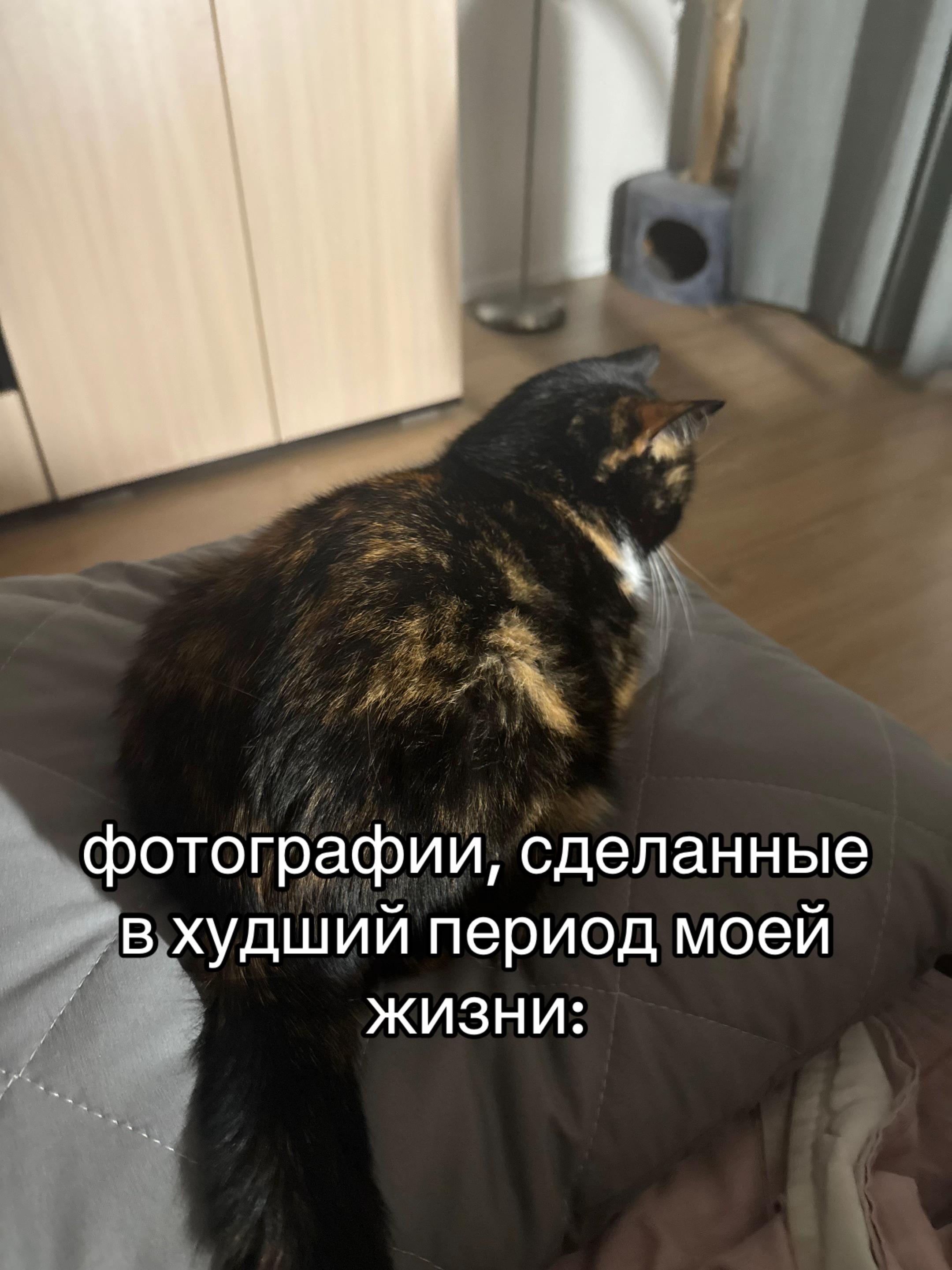 @яника