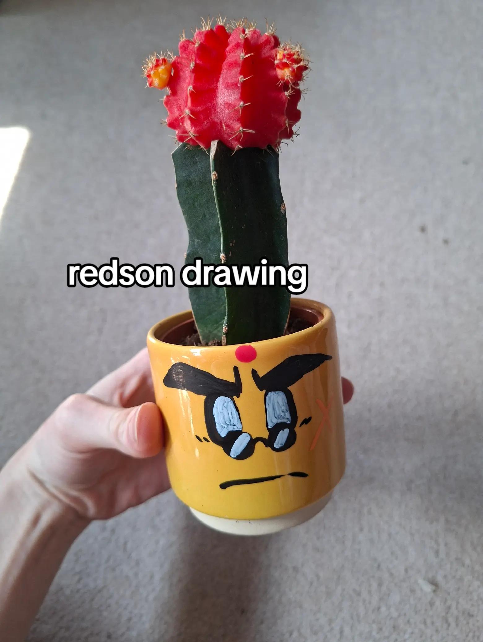 @elle !! redsons #1 fan