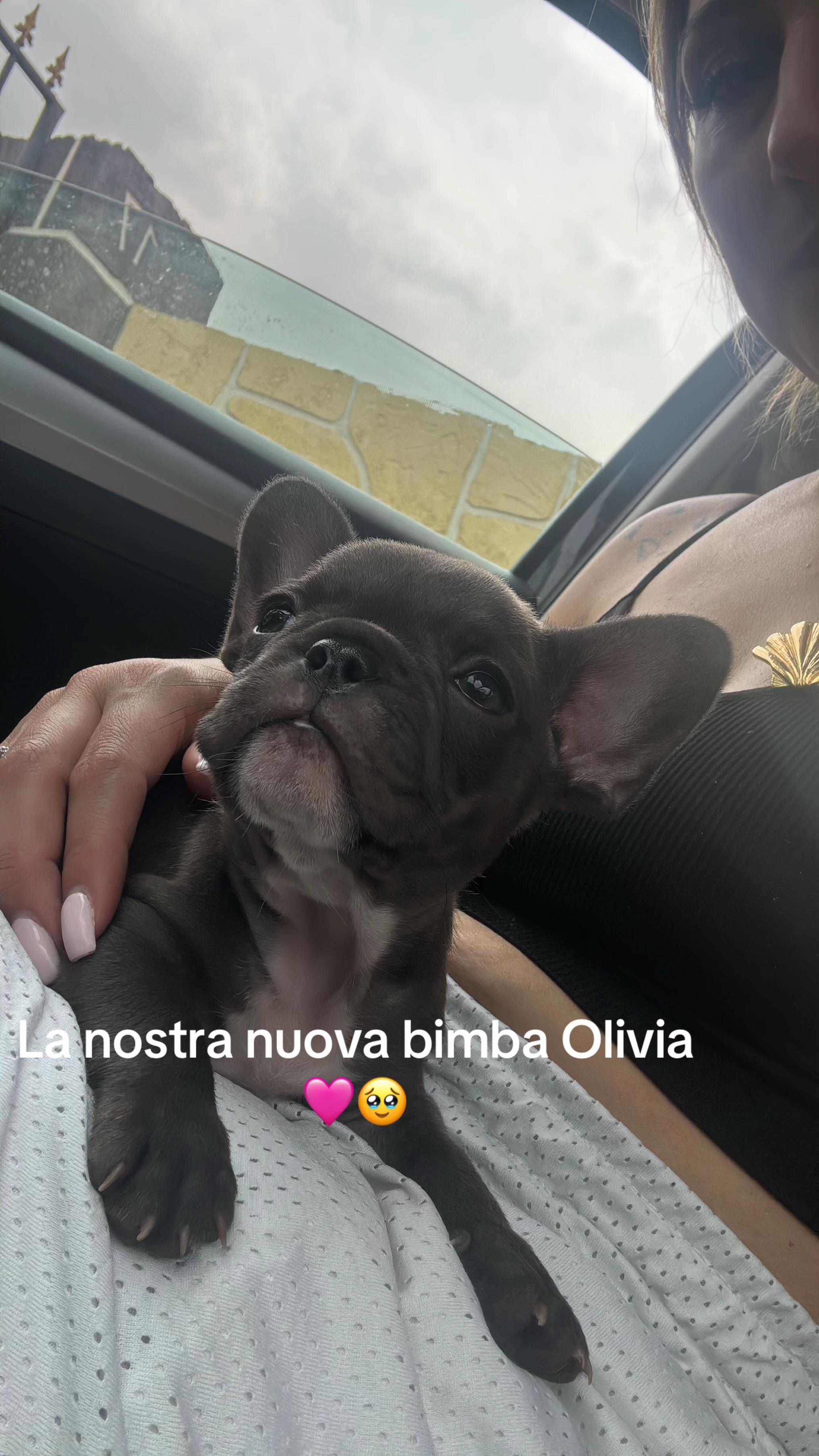 @francescamascali