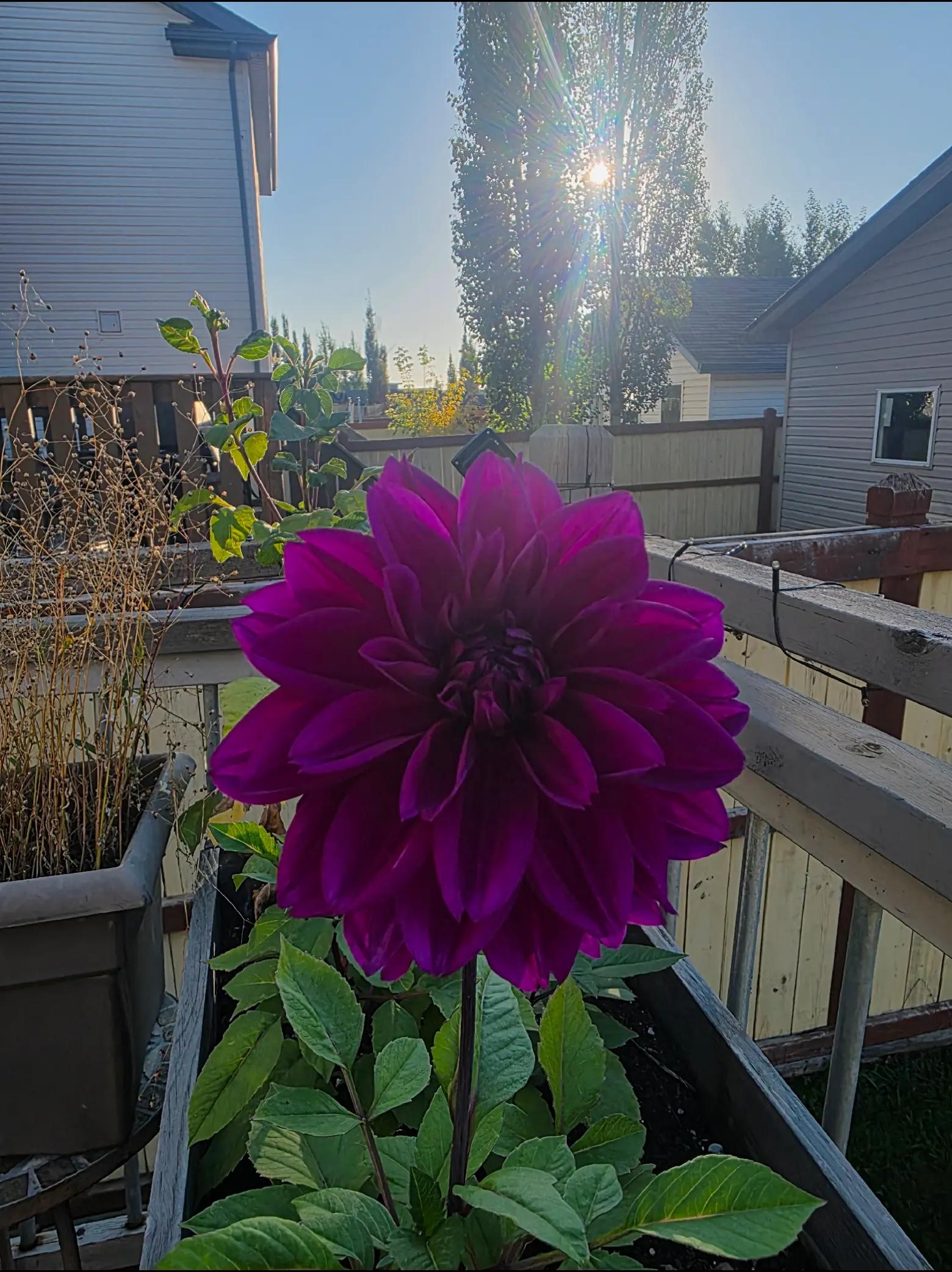 @🇨🇦🧿🌛Doris🌜🧿🇨🇦
