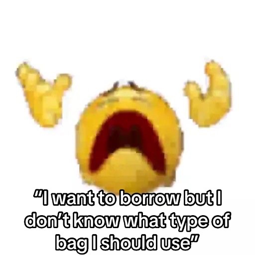 @She borrows