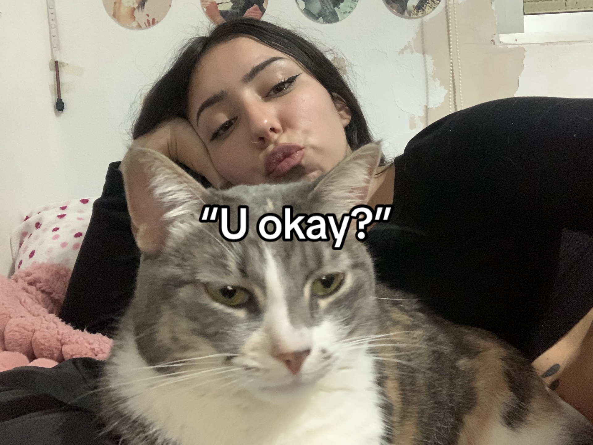 @Peluchito bb