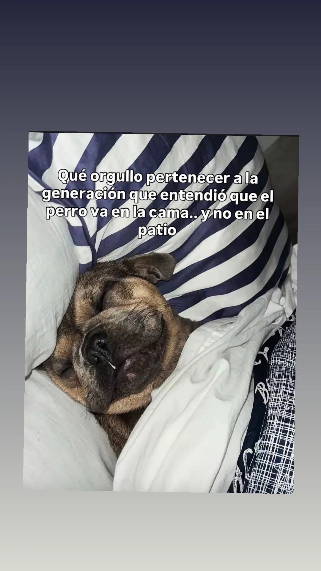 @francisco