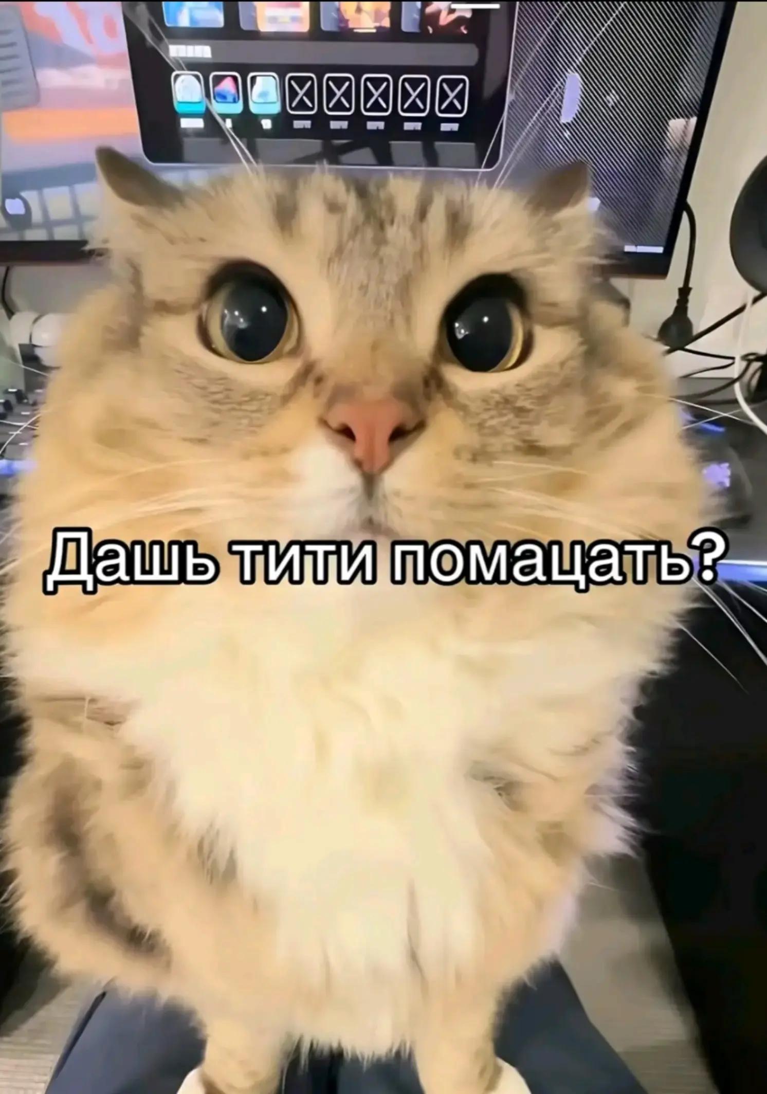 @Поднебесный