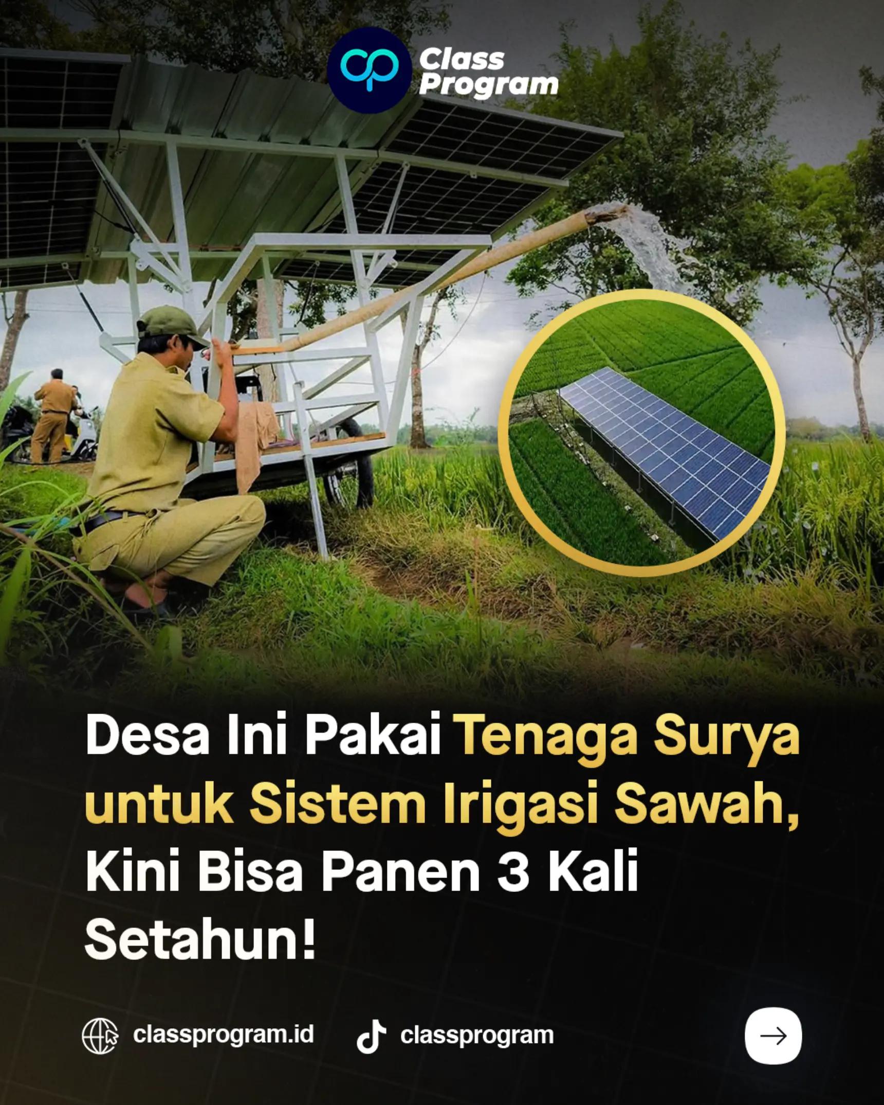 @Bimbingan Skripsi & Tesis