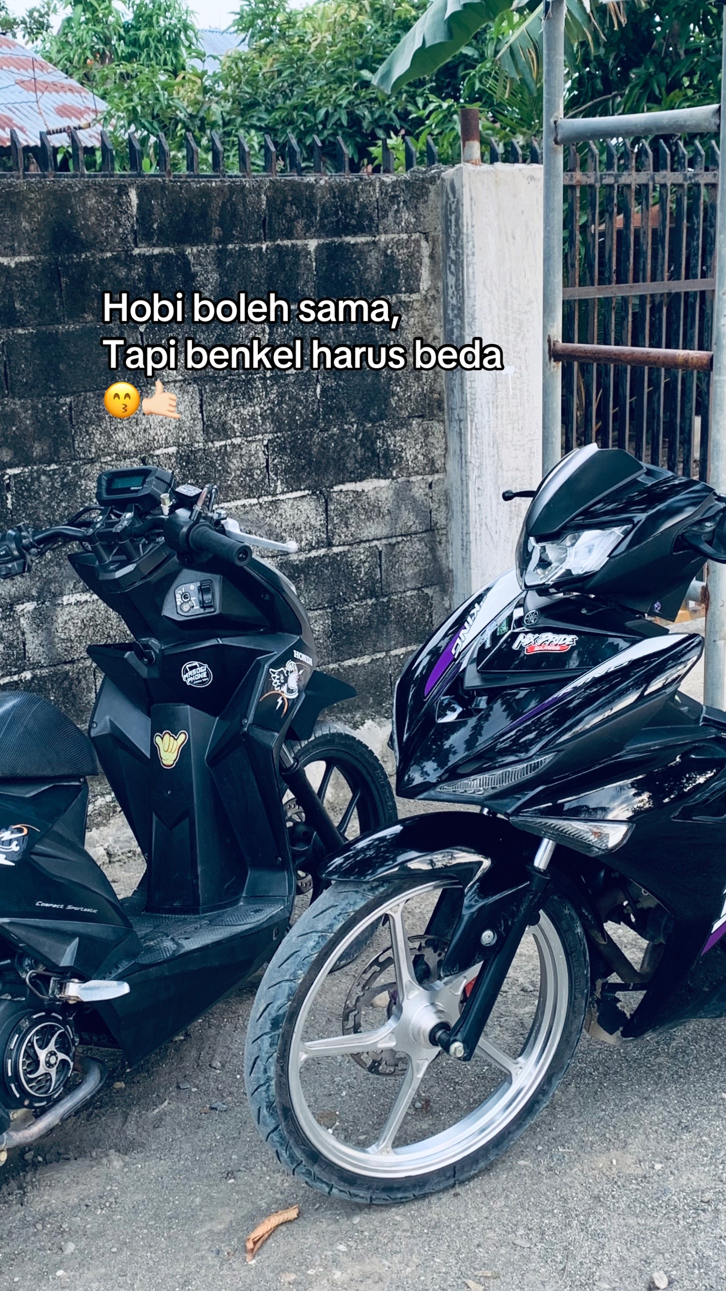 @verd🦤