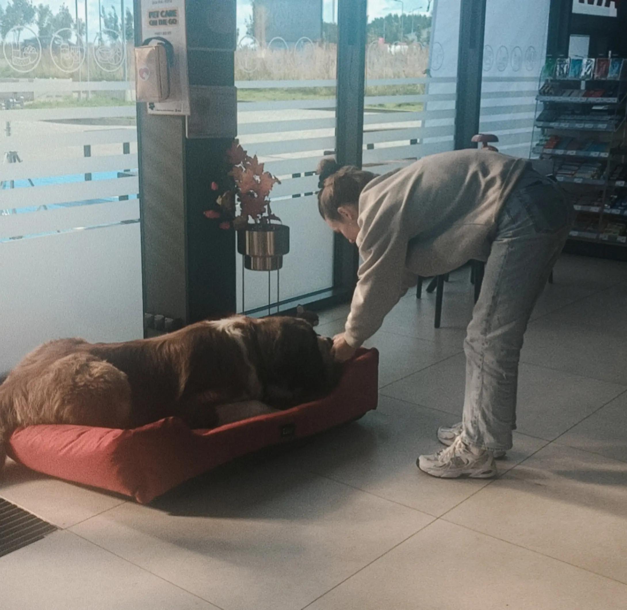 @Bella e Gigante FCI